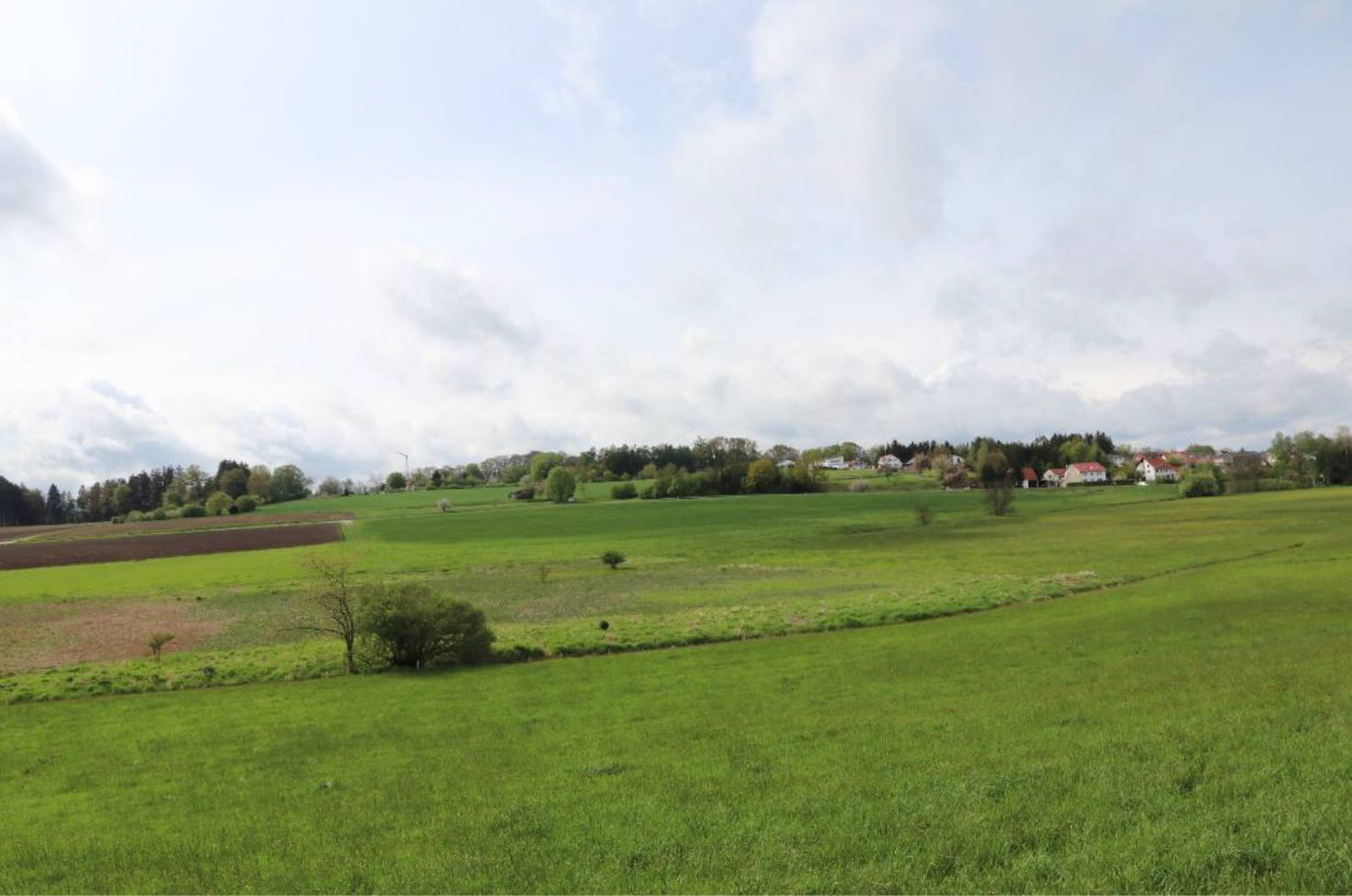 land-/ forstwirtschtl. Flächen in An der Ascher Tafel, 89269 Biberachzell - Bild 2