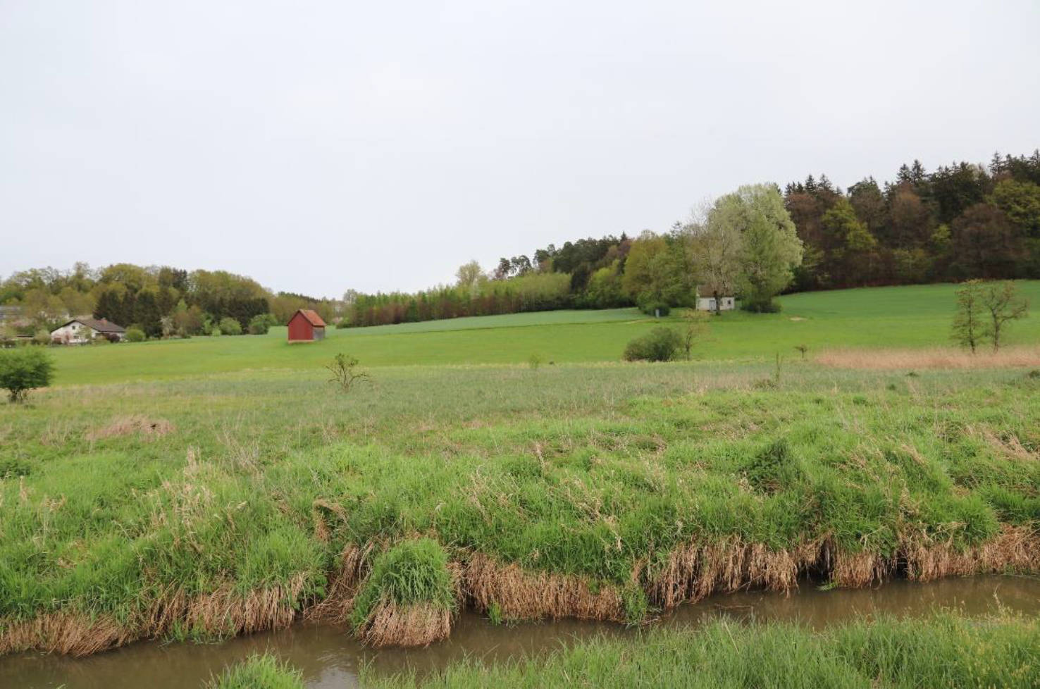 land-/ forstwirtschtl. Flächen in An der Ascher Tafel, 89269 Biberachzell - Bild 3