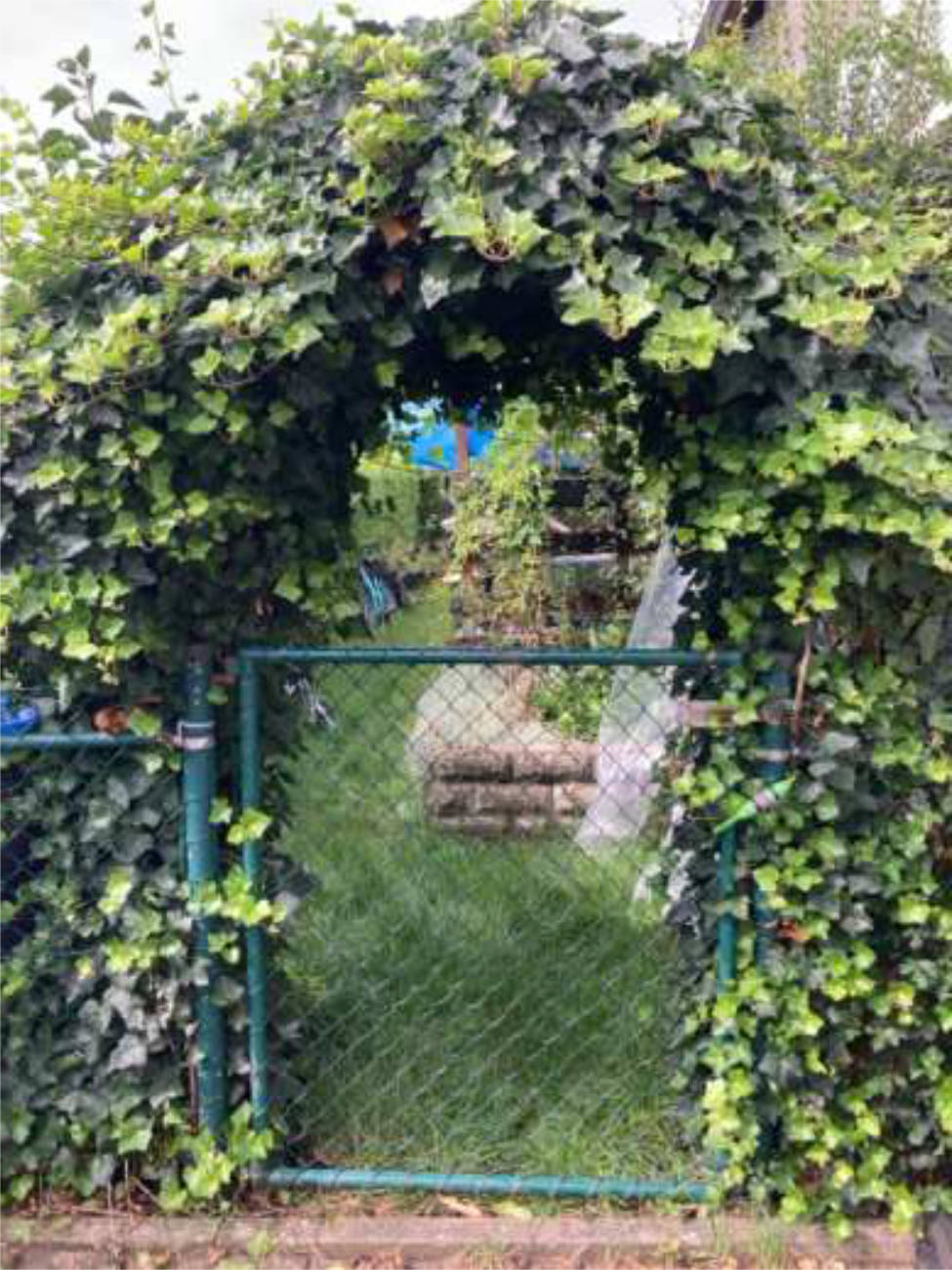 bayern 1510 K 0072/2024 Kleiststraße 10, 85221 Dachau 14