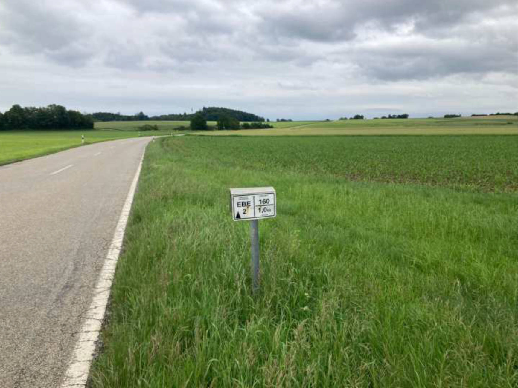 bayern 1510K0145-2024 Oberfeld, 00000 Südlich von Neufarn (Vaterstetten) 6
