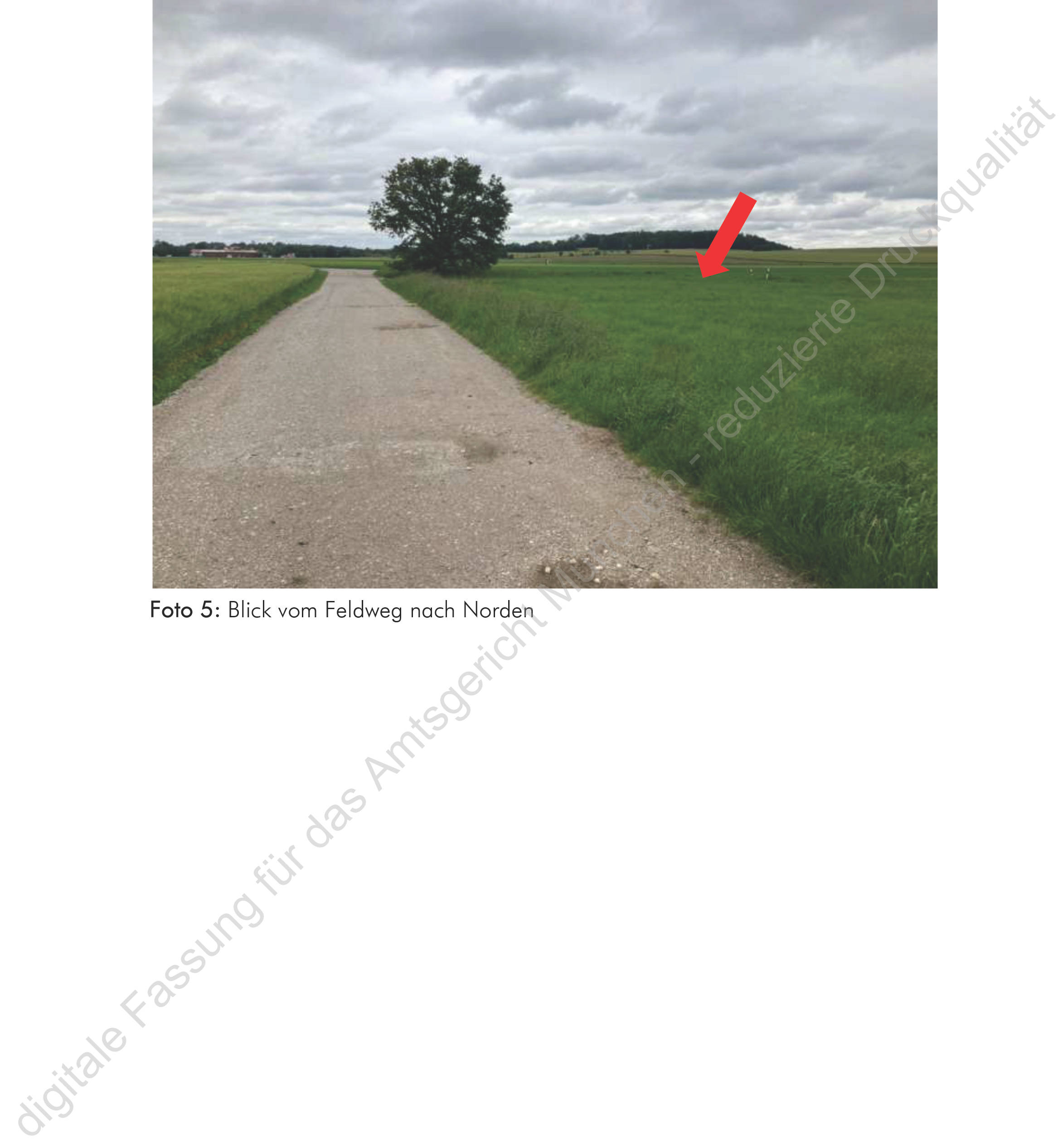 bayern 1510K0145-2024 Oberfeld, 00000 Südlich von Neufarn (Vaterstetten) 12