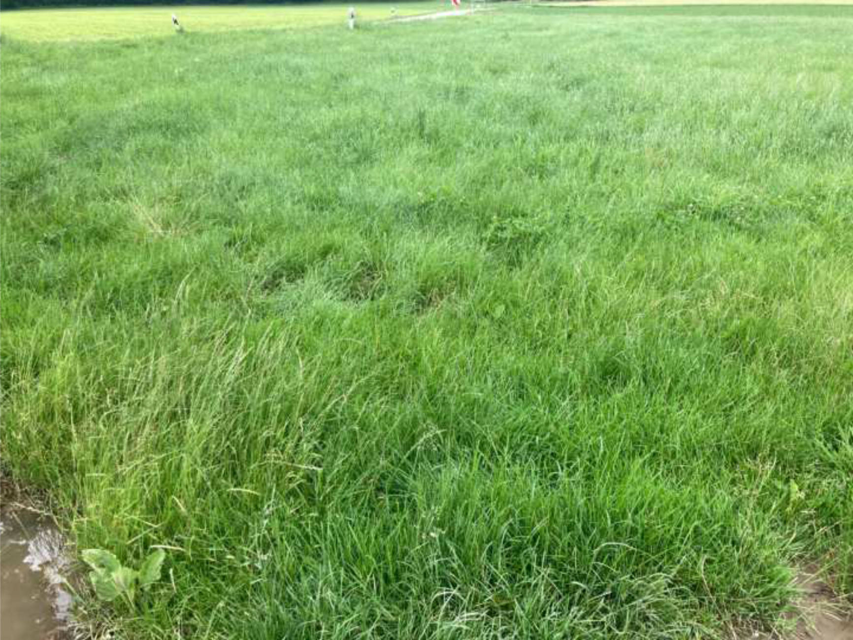 Sonstiges in Oberfeld, 00000 Südlich von Neufarn (Vaterstetten) - Bild 5
