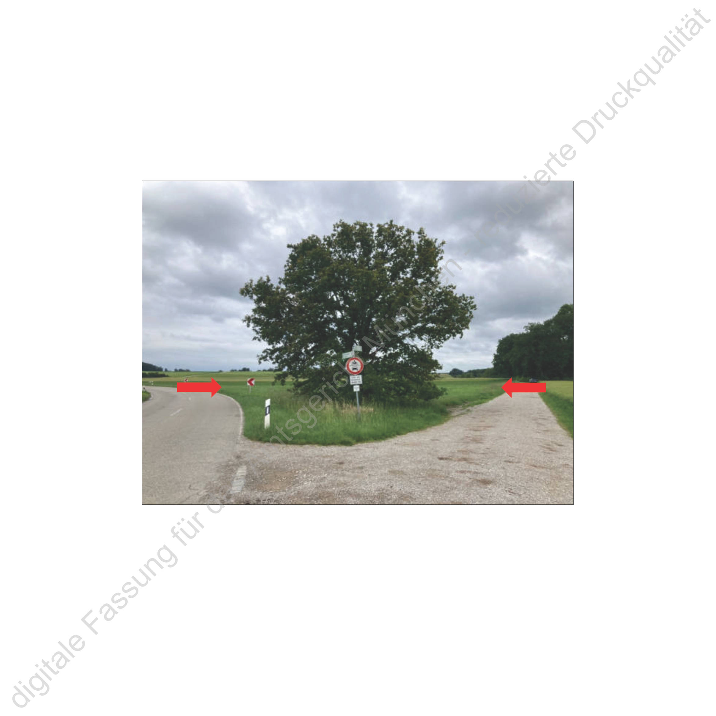 bayern 1510K0145-2024 Oberfeld, 00000 Südlich von Neufarn (Vaterstetten) 10