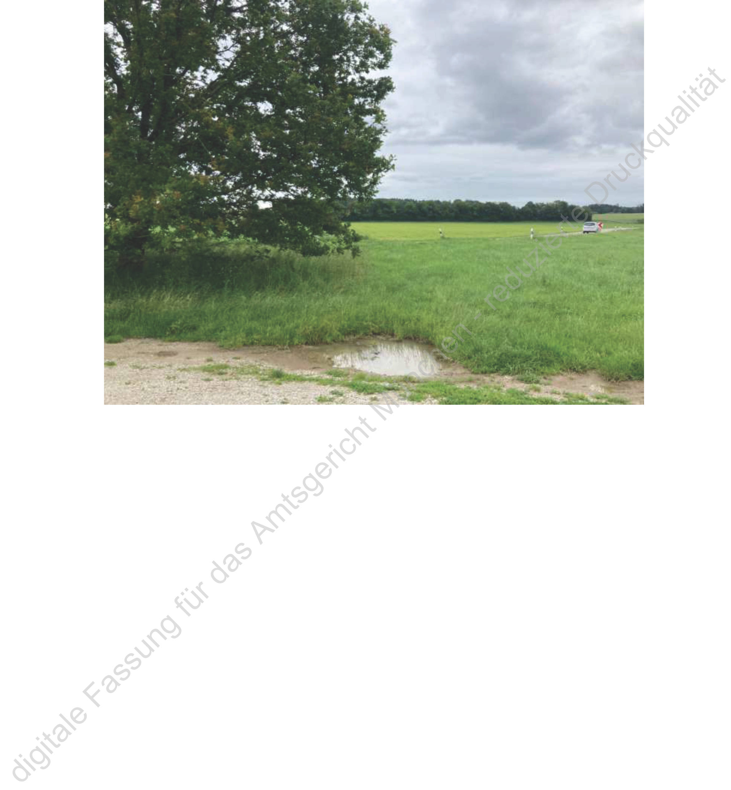 Sonstiges in Oberfeld, 00000 Südlich von Neufarn (Vaterstetten) - Bild 4