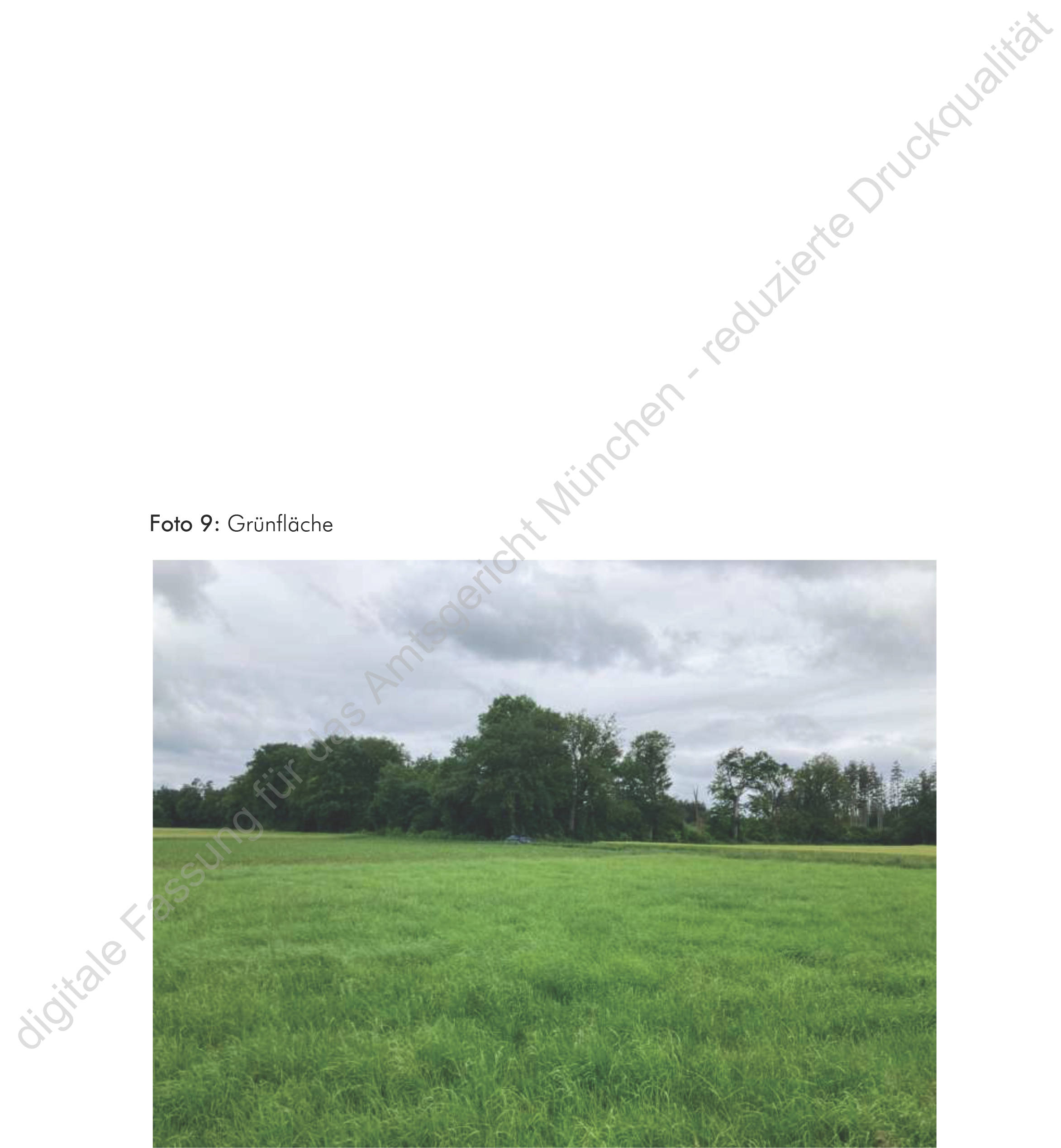 bayern 1510K0145-2024 Oberfeld, 00000 Südlich von Neufarn (Vaterstetten) 9