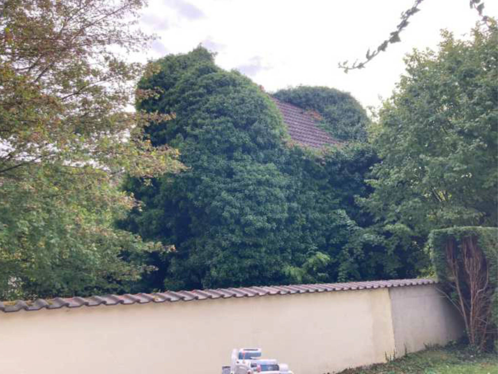 Einfamilienhaus in Insterburger Straße 6, 81929 München (Bogenhausen) - Bild 4