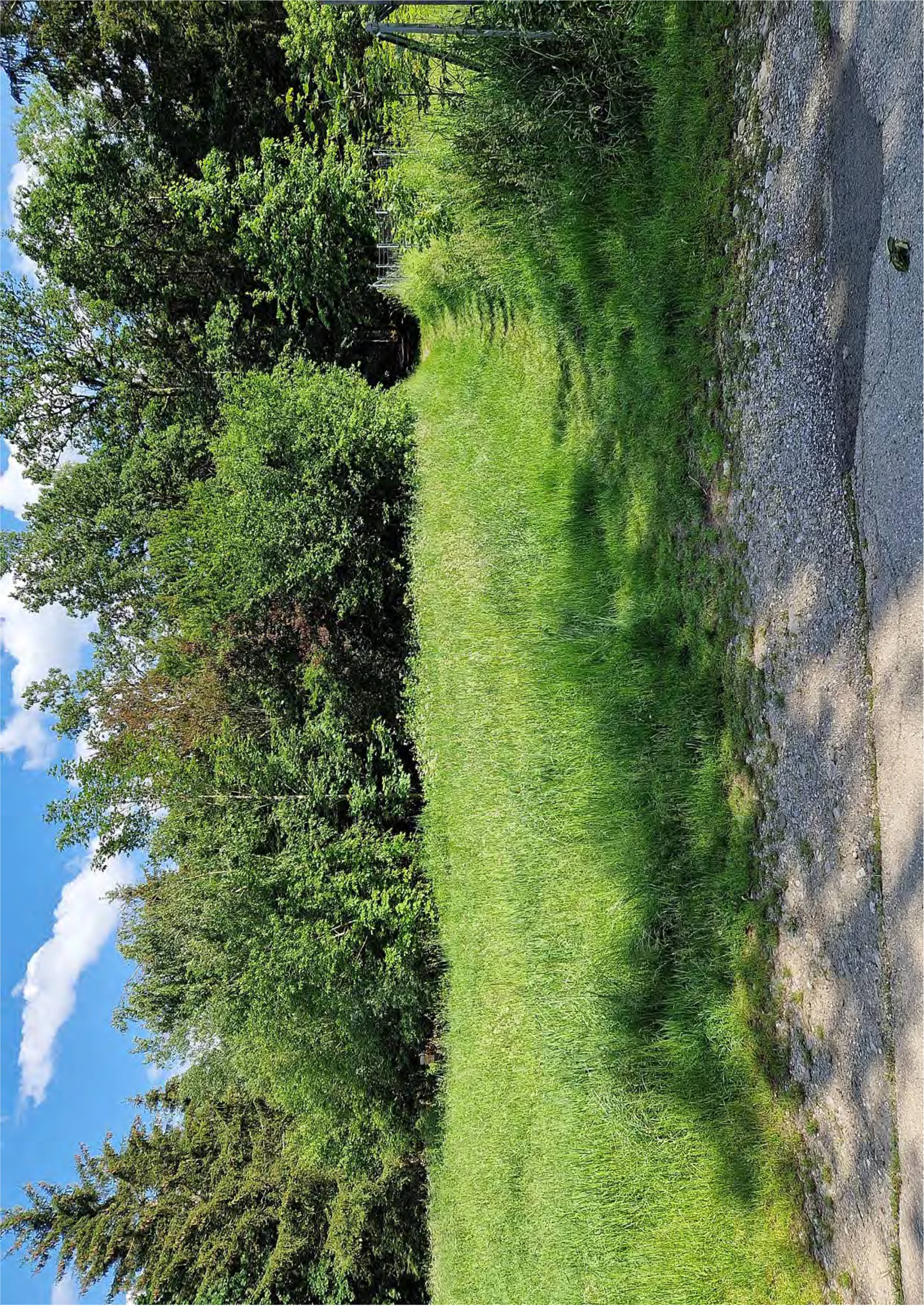 land- und forstwirtschaftlich genutztes Grundstück in südlich d. Wasserburger Landstraße, ca. 100 m vom Wohngebiet, 00000 Neukeferloh (Gemeindegebiet Grasbrunn)