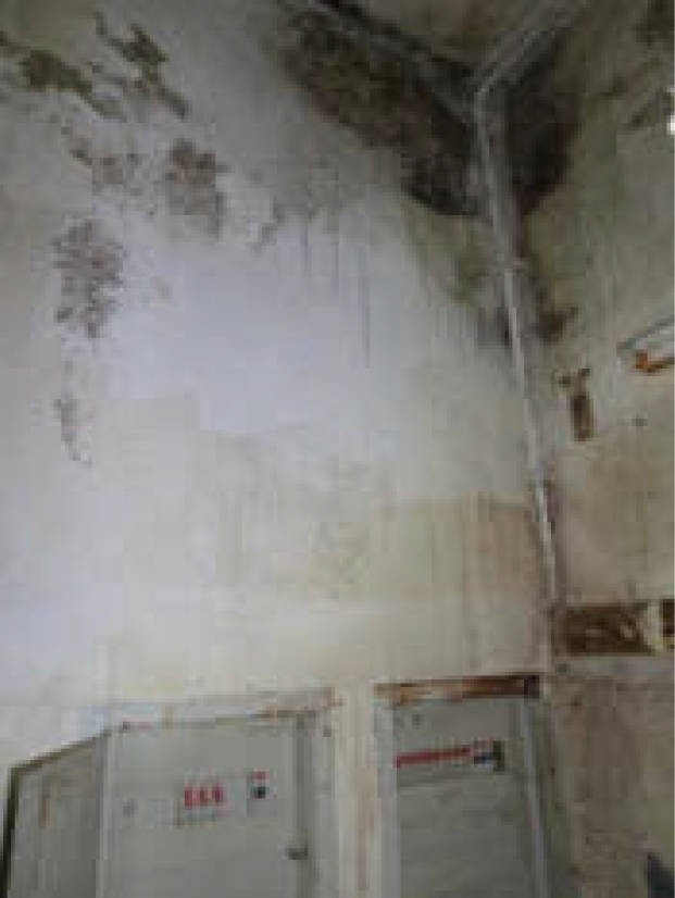 Einfamilienhaus, Gewerbeeinheit (z.B. Laden, Büro), Garage in Am Moosfeld 87, 81829 München - Bild 3