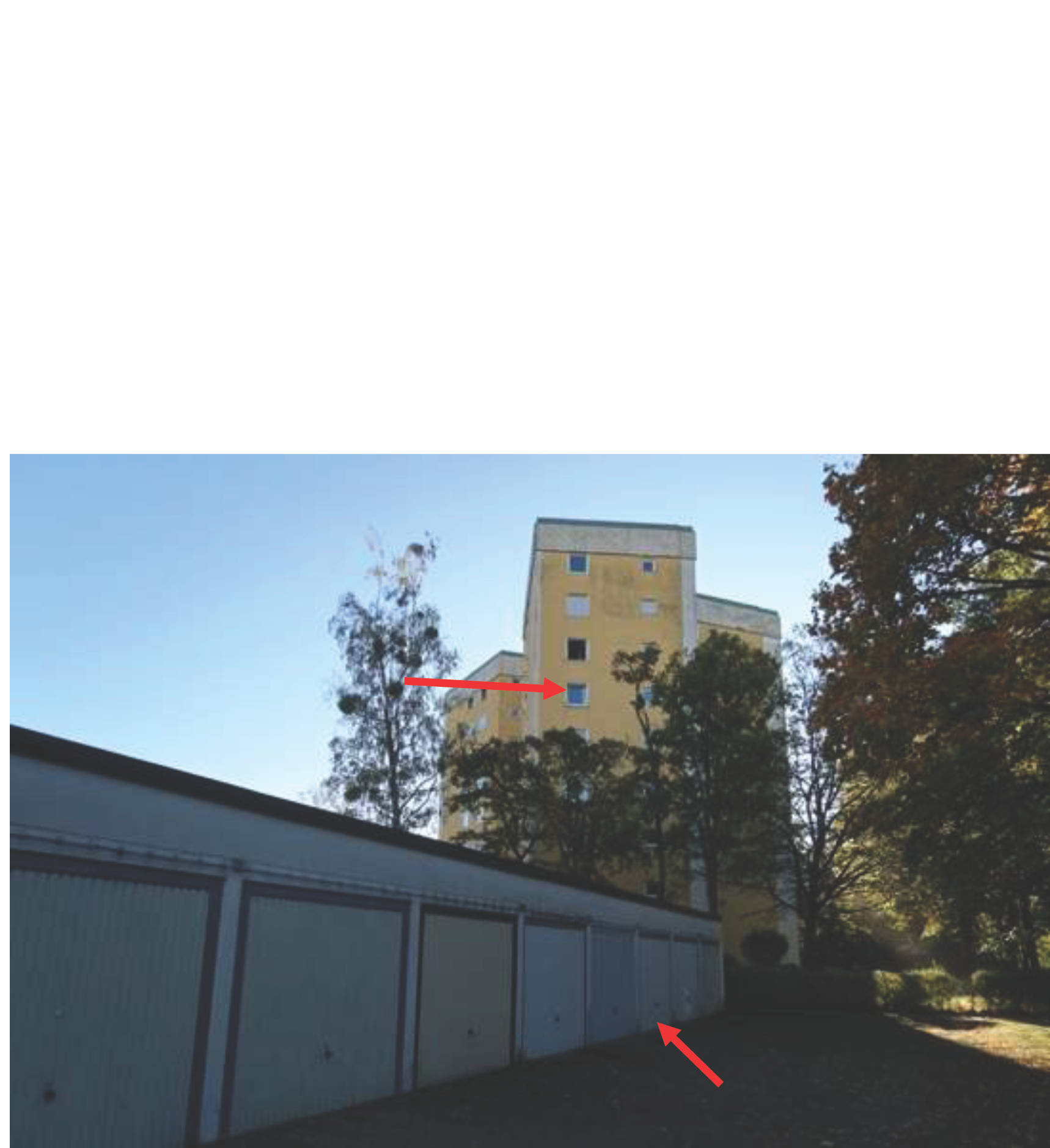 bayern 1514K0054-2023 Basler Straße  70, 81476 München 20