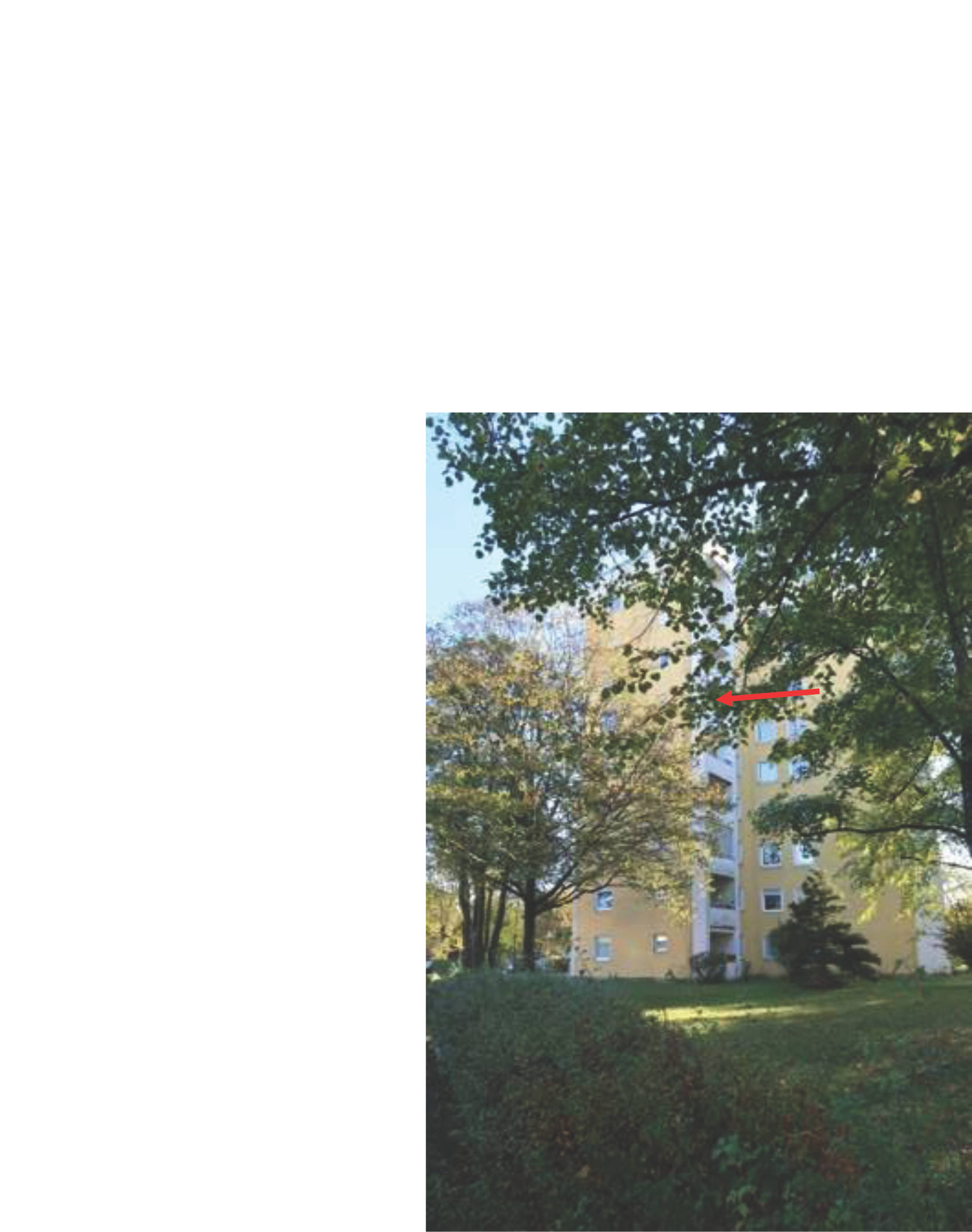 bayern 1514K0054-2023 Basler Straße  70, 81476 München 8