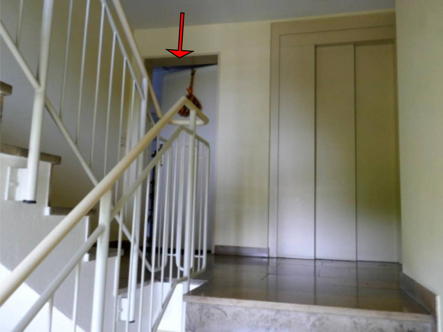 bayern 1514 K 0072/2023 Emmy-Lenbach-Straße 9, 85221 Dachau 18