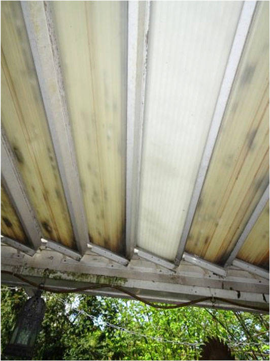 bayern 1514 K 0339/2024 An der Biberwiese  9, 82110 Germering 14