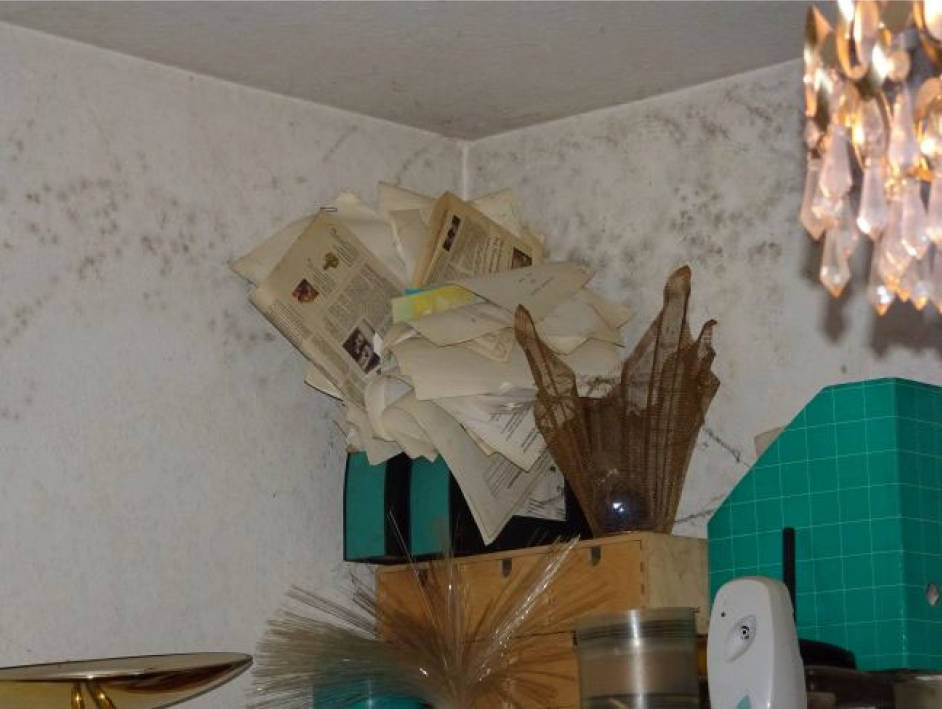 bayern 1514 K 0339/2024 An der Biberwiese  9, 82110 Germering 18