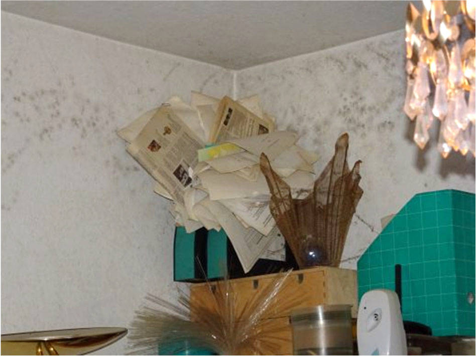 bayern 1514 K 0339/2024 An der Biberwiese  9, 82110 Germering 24