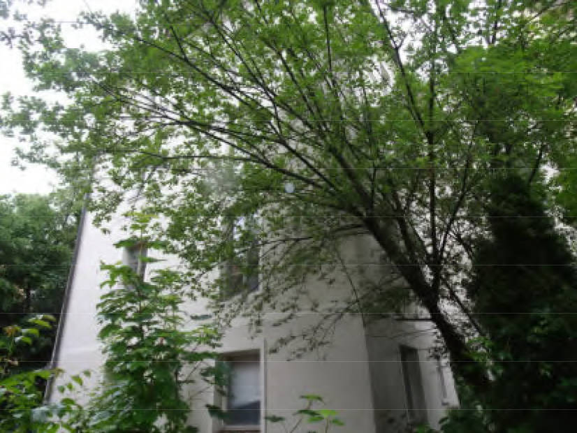 Wohn-/Geschäftshaus in Rupprechtstraße  17, 80636 München - Bild 5