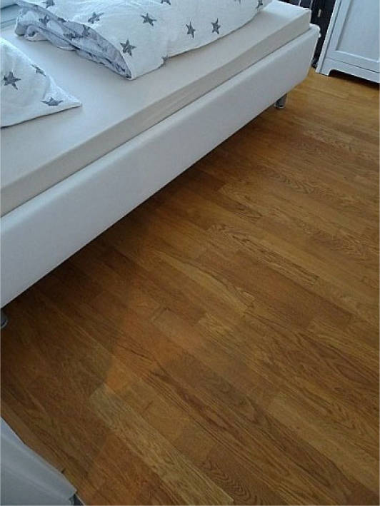 bayern 1517 K 0220/2022 Margarethe-Kron-Weg 9, 85221 Dachau 19