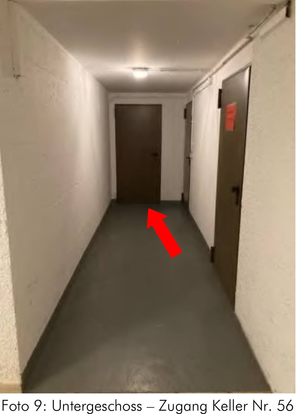 bayern 1517 K 0267/2024 Starenweg 8, 80937 München 10