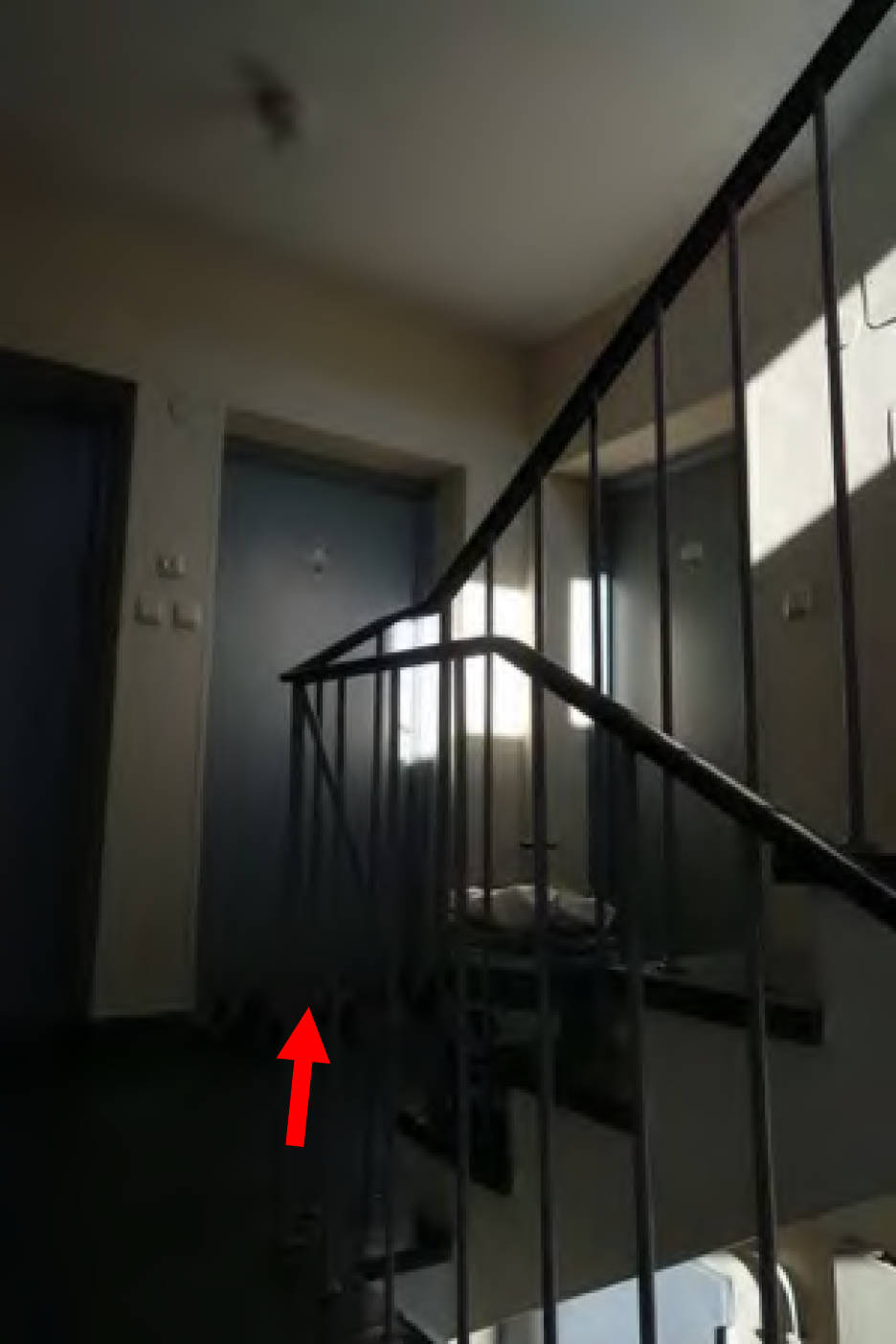 bayern 1540 K 0042/2024 Landshuter Allee 168, 80637 München (Neuhausen-Nymphenburg) 13