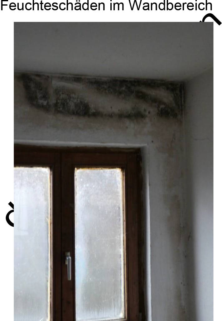 bayern 1540 K 0154/2023 Jedenhofener Straße 4, 85256 Vierkirchen 18