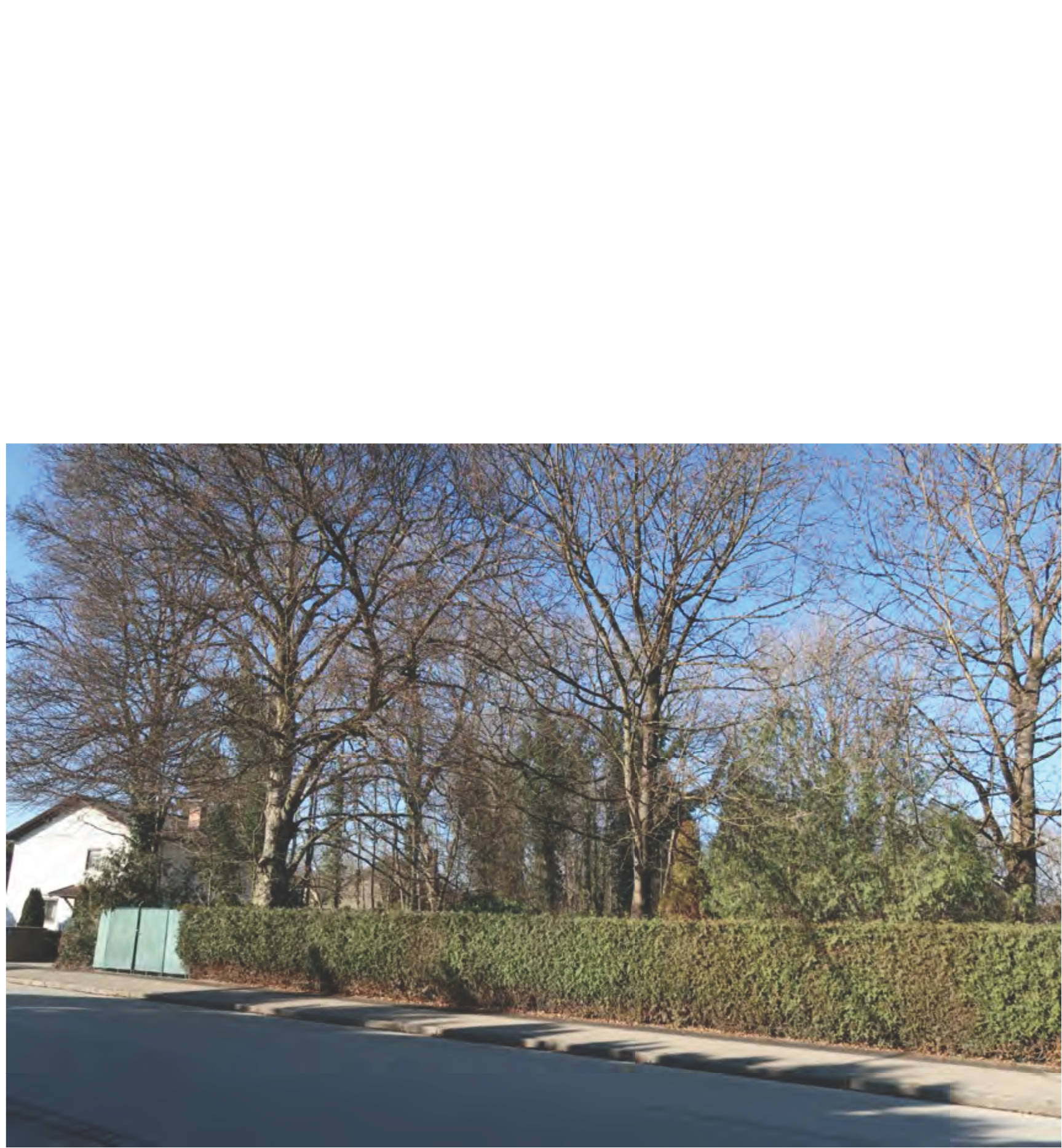 bayern 1540K0256-2022 Dr.-Max-Straße  27c, 82031 Grünwald 8