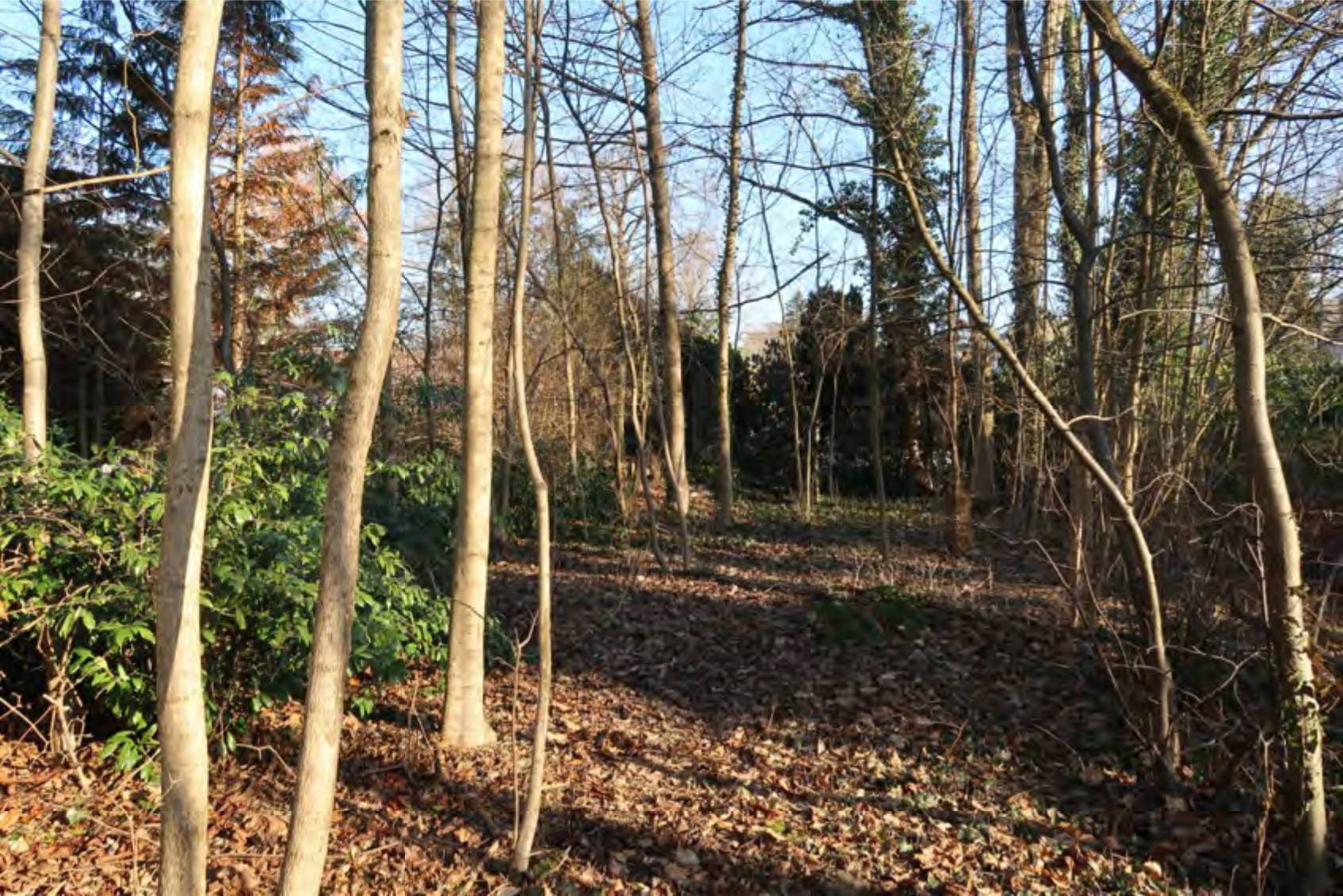 bayern 1540K0256-2022 Dr.-Max-Straße  27c, 82031 Grünwald 6