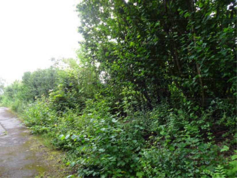 bayern 1540 K 0283/2023 An der Seestraße, 85551 Kirchheim b. München 12