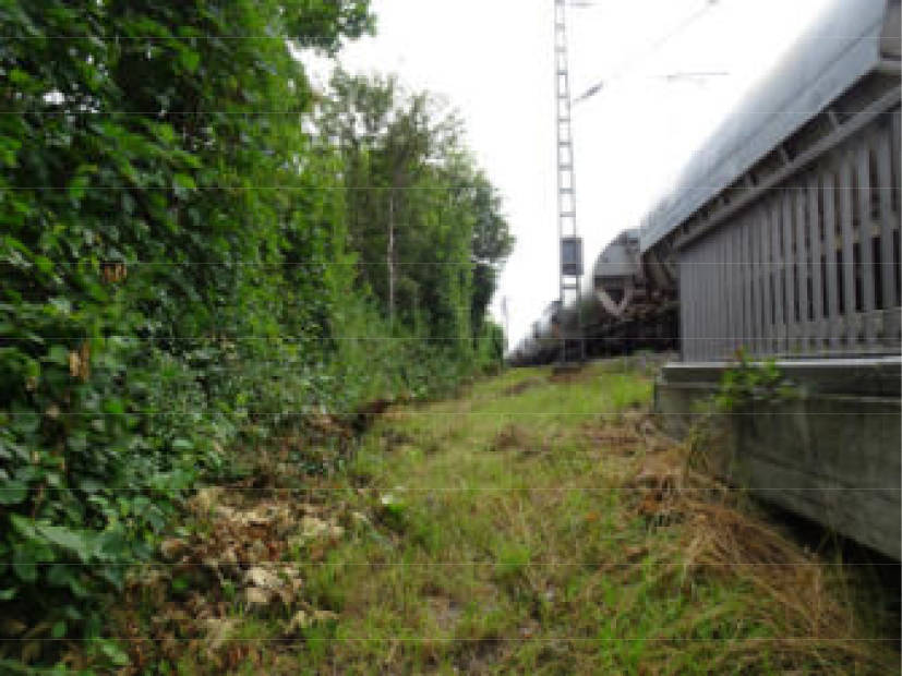 Baugrundstück in An der Seestraße, 85551 Kirchheim b. München - Bild 2