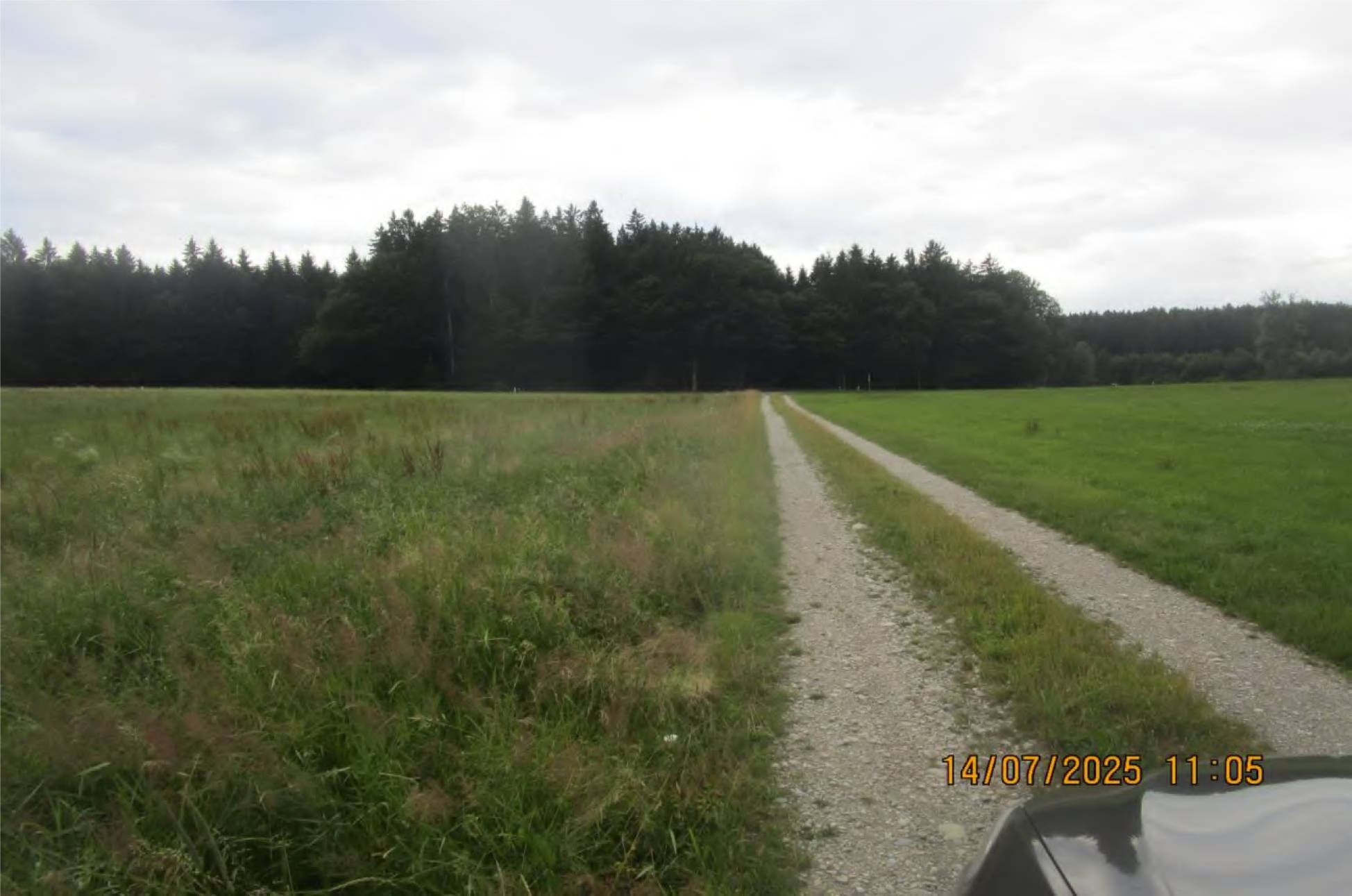 bayern 1540 K 0412/2024 an der Zufahrt zum Weiler Kaps, 85655 Helfendorf 2