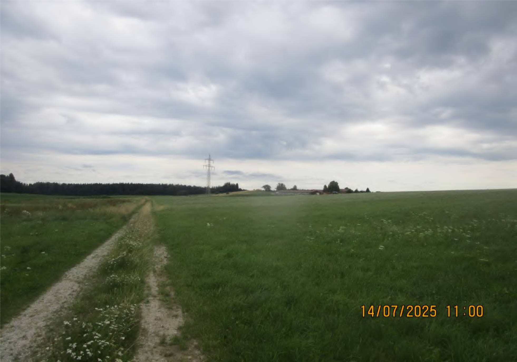 bayern 1540 K 0412/2024 an der Zufahrt zum Weiler Kaps, 85655 Helfendorf 6