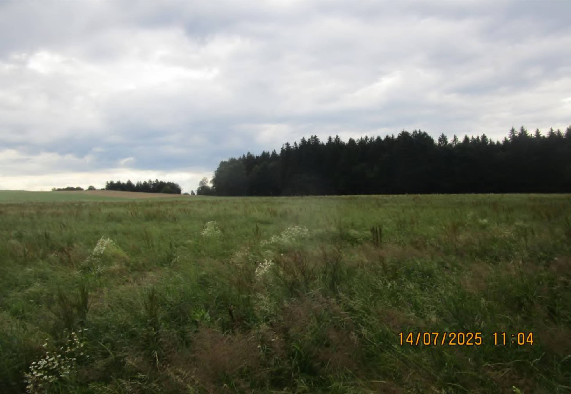 bayern 1540 K 0412/2024 an der Zufahrt zum Weiler Kaps, 85655 Helfendorf 1