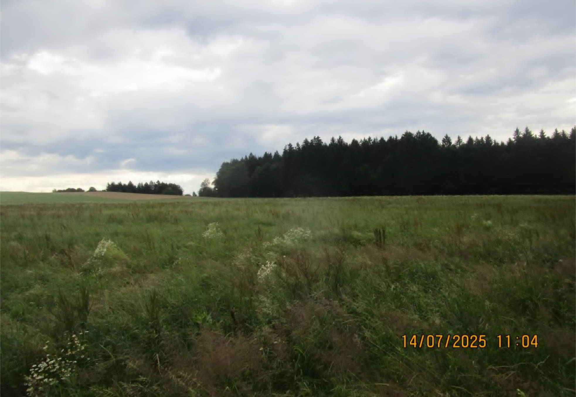 bayern 1540 K 0412/2024 an der Zufahrt zum Weiler Kaps, 85655 Helfendorf 5