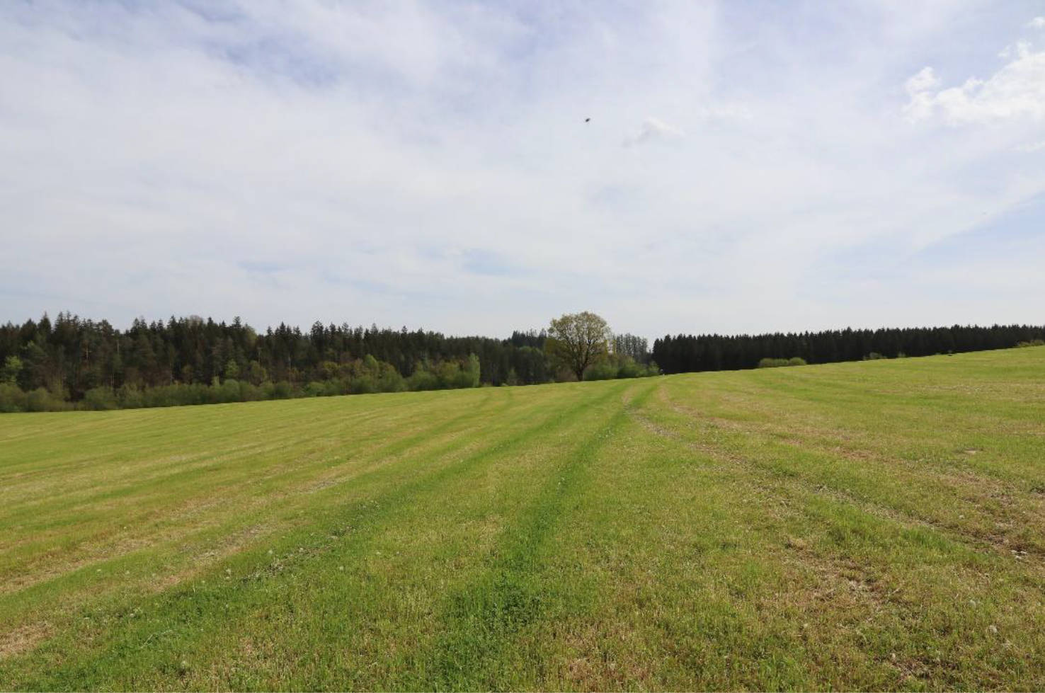 bayern 2 K 12-24 Bühel, 86473 Ziemetshausen 10