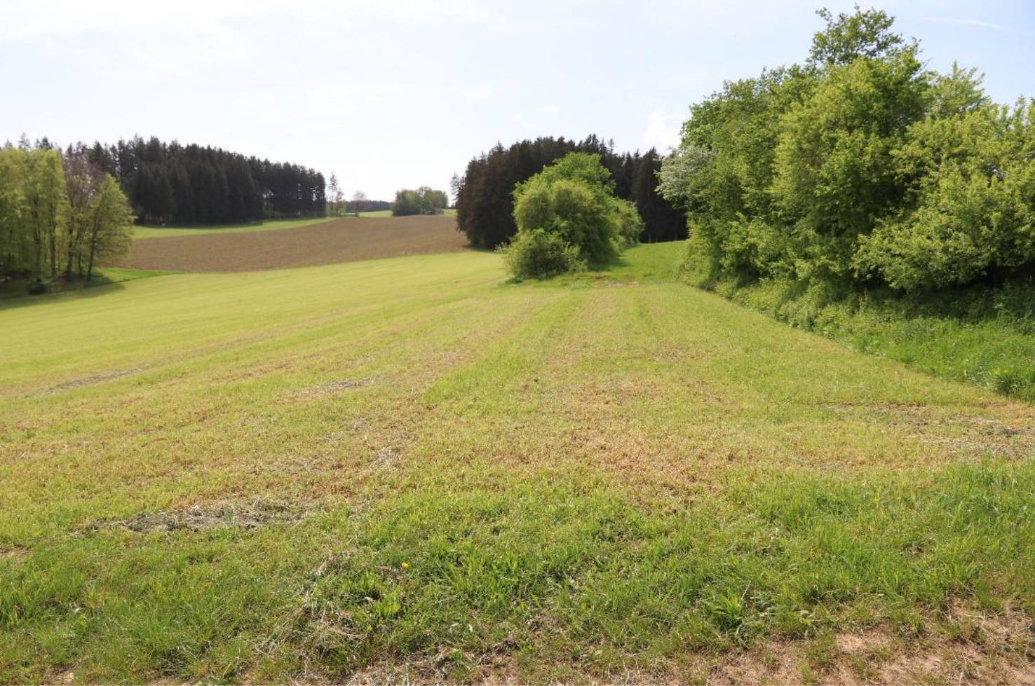 land-/ forstwirtschtl. Flächen in Bühel, 86473 Ziemetshausen - Bild 5