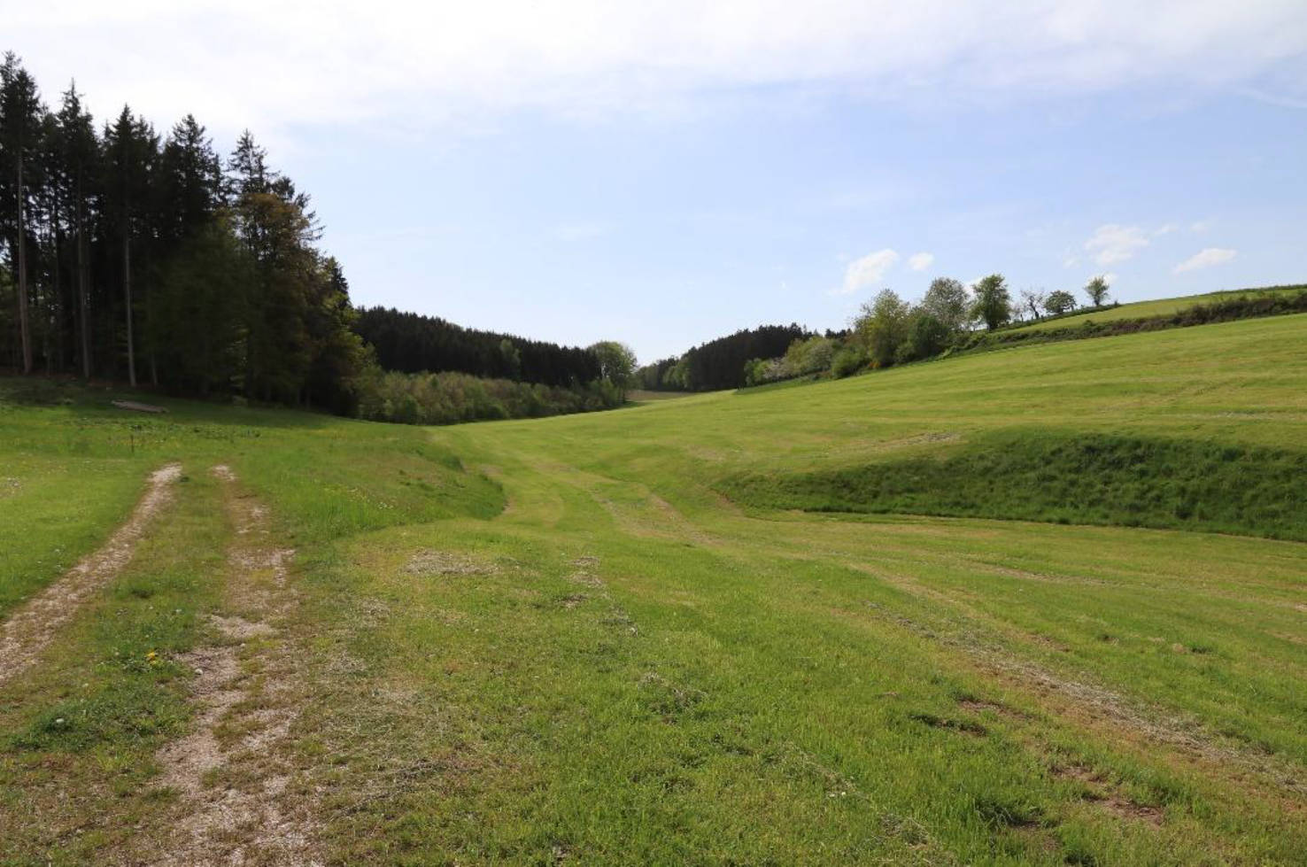 land-/ forstwirtschtl. Flächen in Bühel, 86473 Ziemetshausen - Bild 2