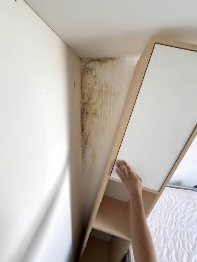 bayern 2 K 13/25 Fuggerstraße 5, 87757 Kirchheim 33