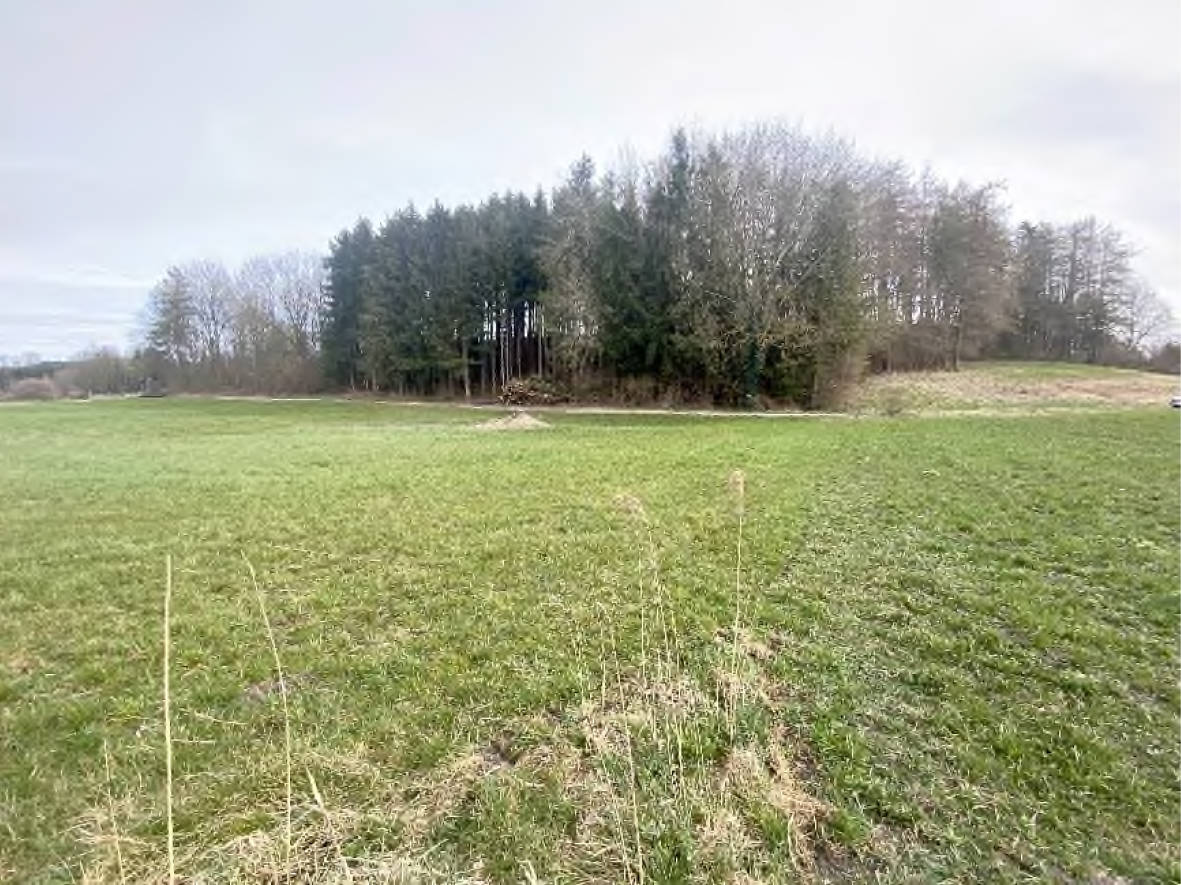 bayern 2 K 2-23 Sauplätze, 86498 Kettershausen