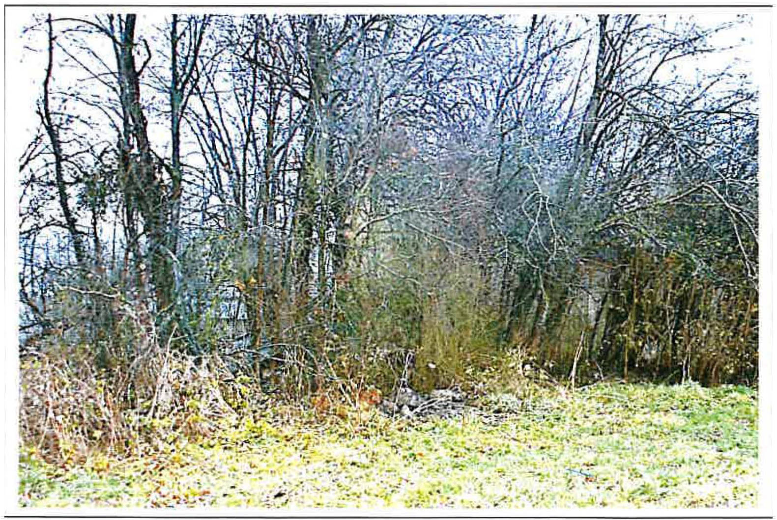 land-/ forstwirtschtl. Flächen in In den Schwarzäckern, 89312 Günzburg-Wasserburg - Bild 5
