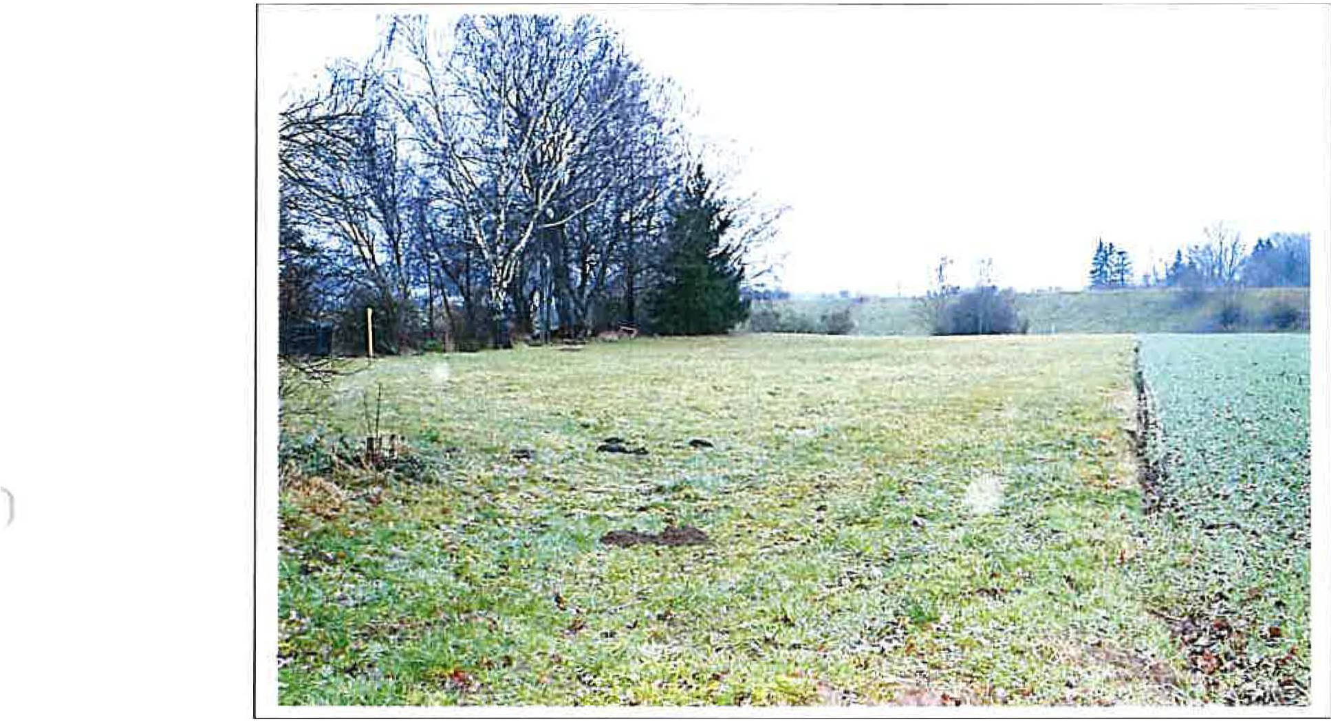 land-/ forstwirtschtl. Flächen in In den Schwarzäckern, 89312 Günzburg-Wasserburg - Bild 3