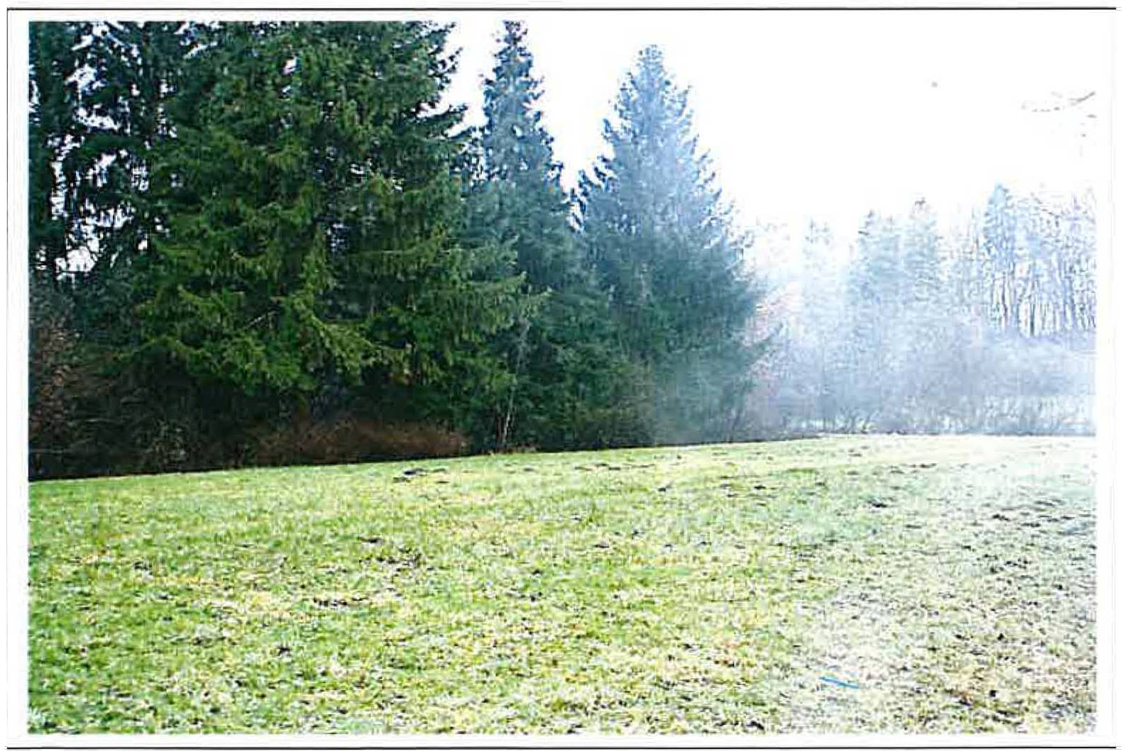 land-/ forstwirtschtl. Flächen in In den Schwarzäckern, 89312 Günzburg-Wasserburg - Bild 4