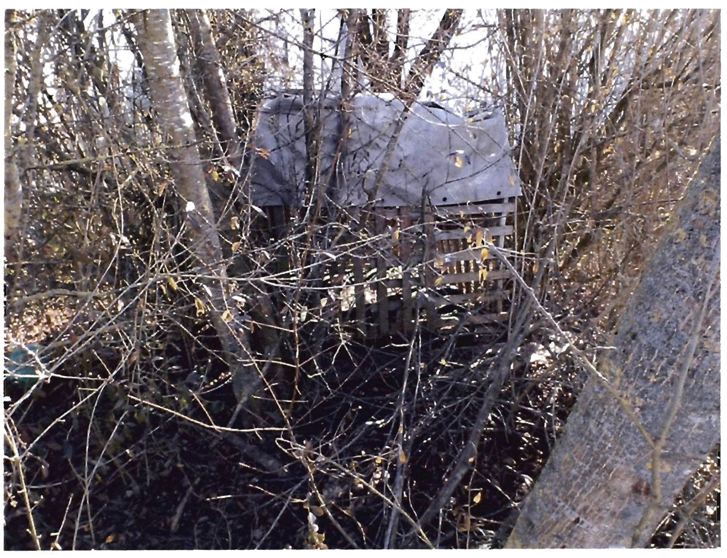 bayern 2 K 60/20 südlich der Wallersdorfer Straße, 94522 Haidlfing 21