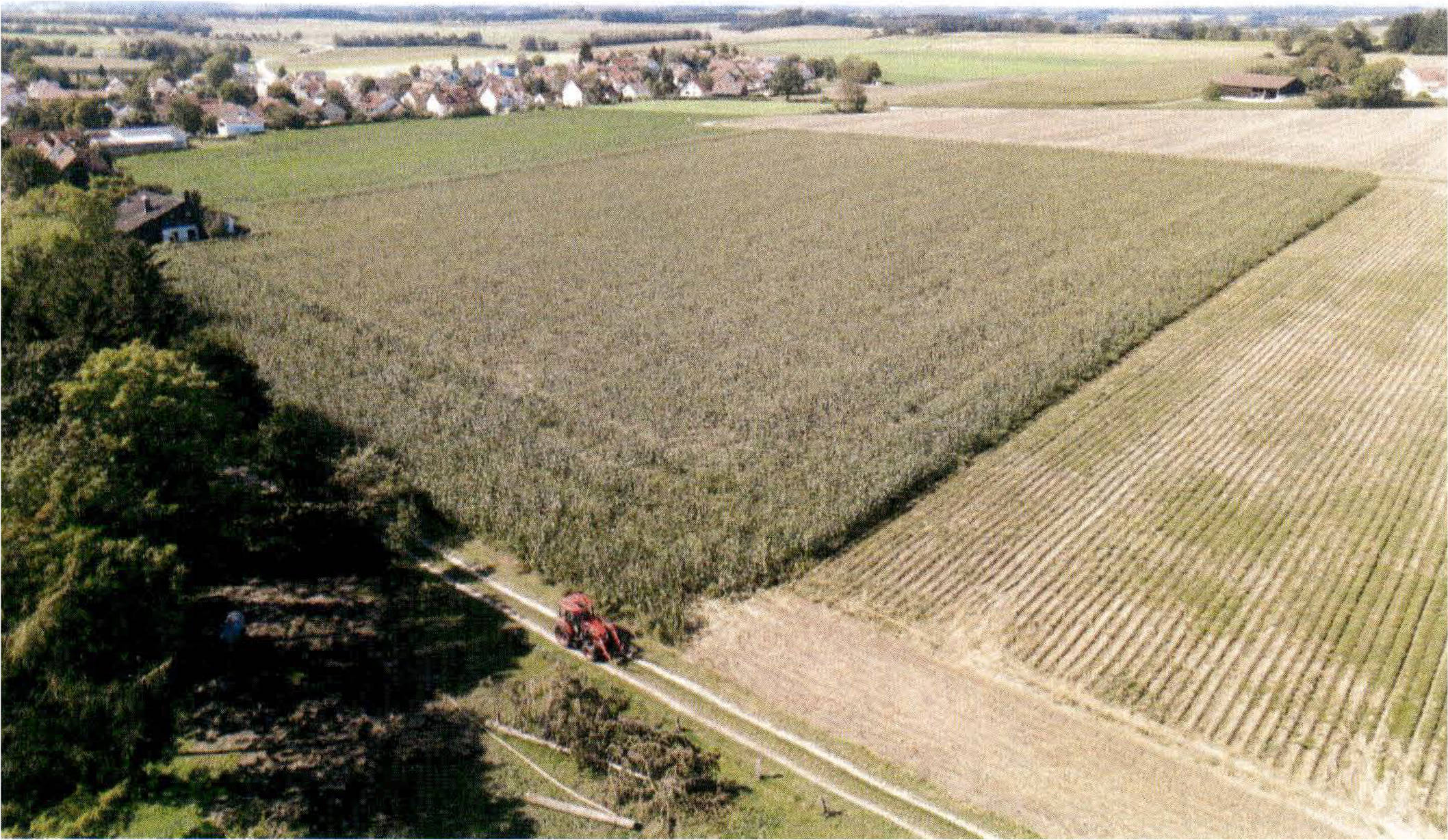 land-/ forstwirtschtl. Flächen in Leitenstraße 11, 85356 Eching-Günzenhausen - Bild 2