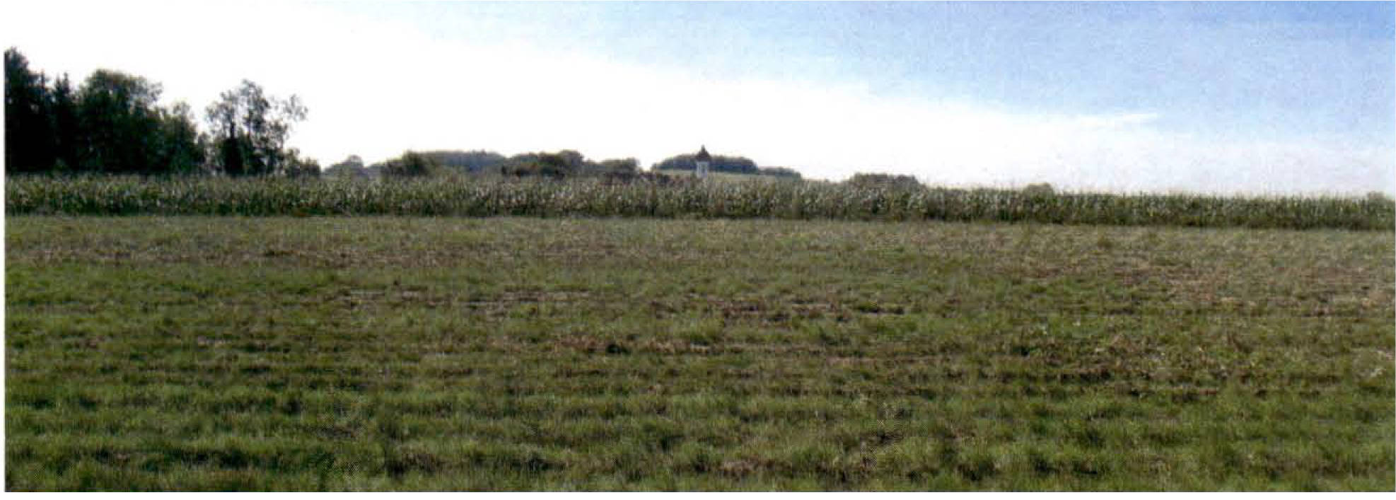 land-/ forstwirtschtl. Flächen in Leitenstraße 11, 85356 Eching-Günzenhausen - Bild 3