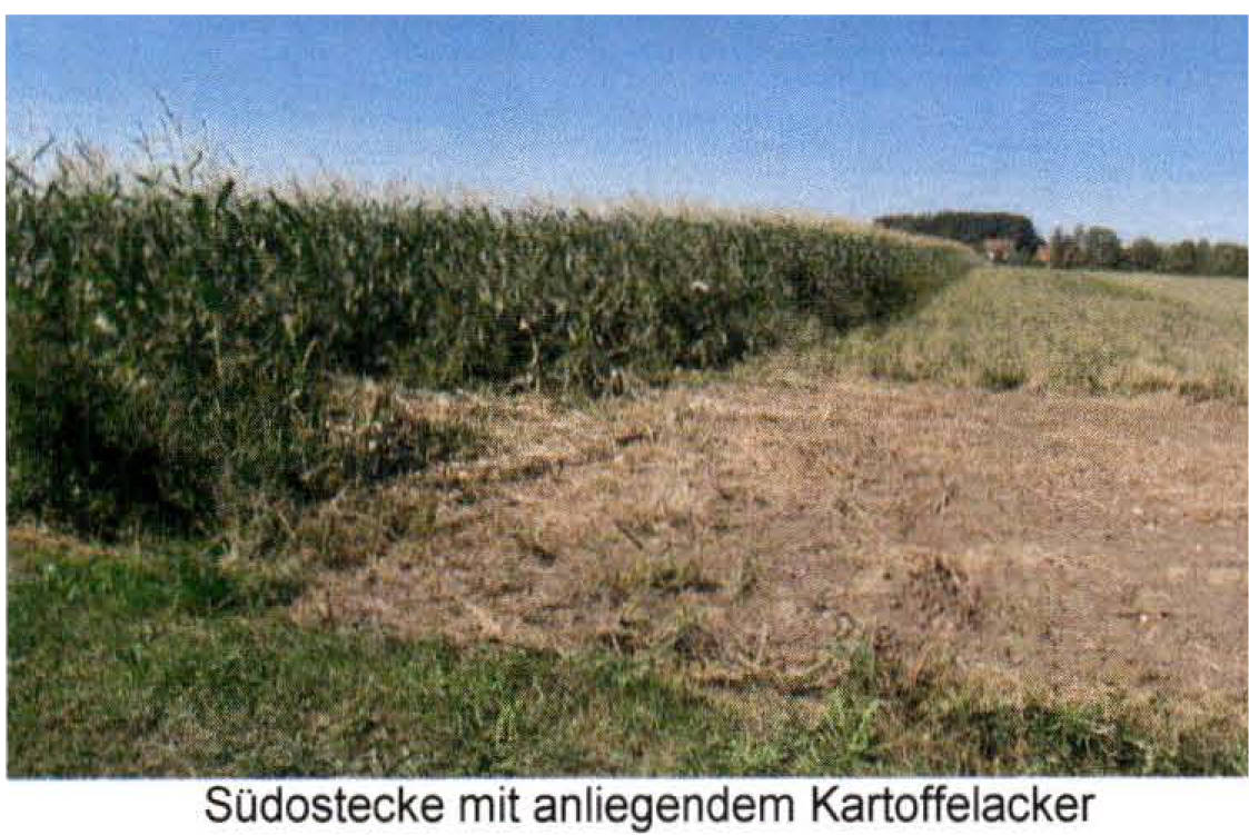 bayern 2 K 60/23 Leitenstraße 11, 85356 Eching-Günzenhausen 13