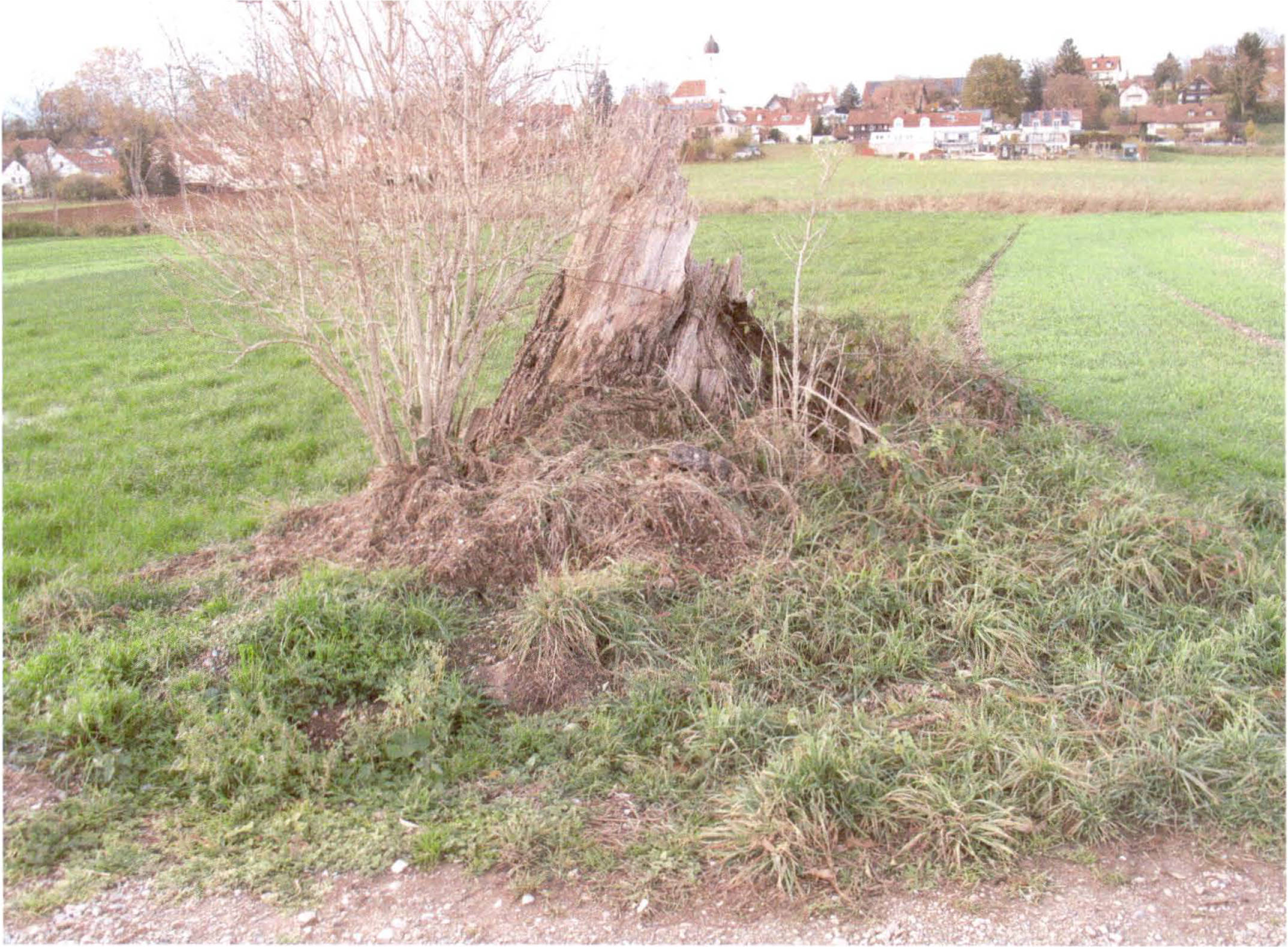 bayern 2 K 62-23 Bergstraße 11, 85356 Eching-Günzenhausen 6