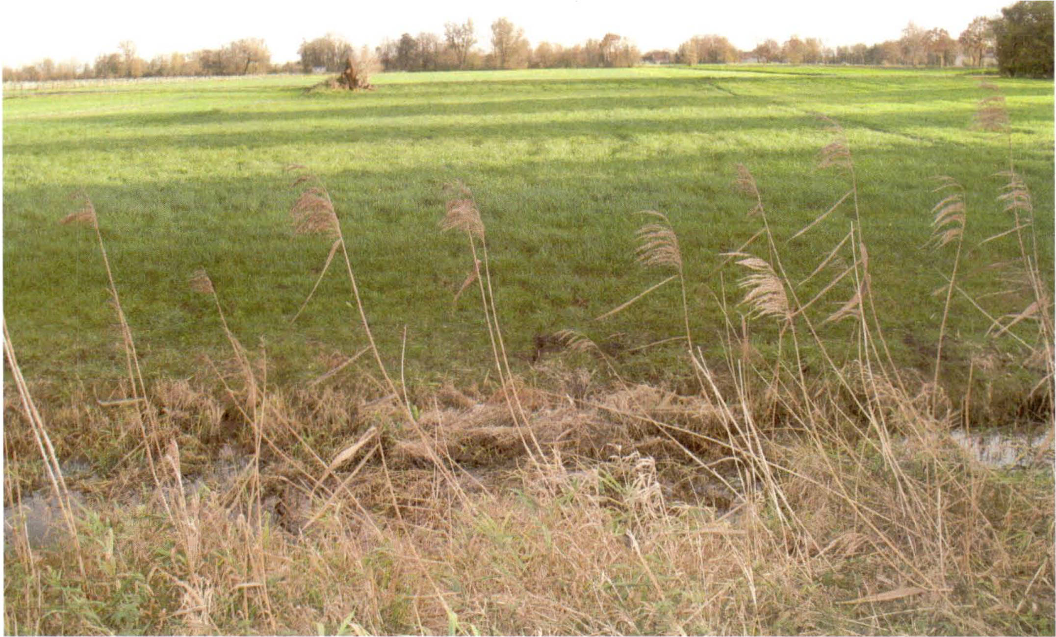 land-/ forstwirtschtl. Flächen in Bergstraße 11, 85356 Eching-Günzenhausen - Bild 5