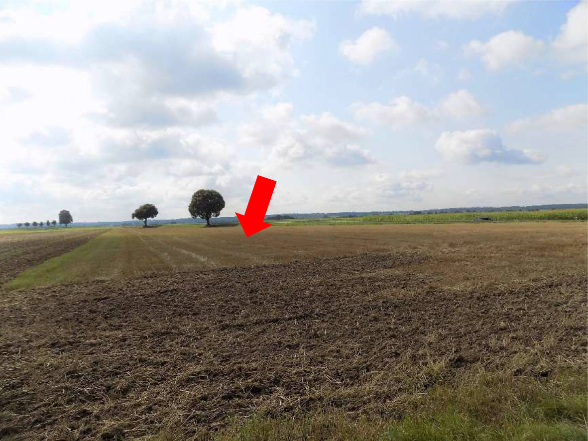 land-/ forstwirtschtl. Flächen in Schleipfbachfeld und Nähe Gutnach, 86491 Ebershausen - Bild 3