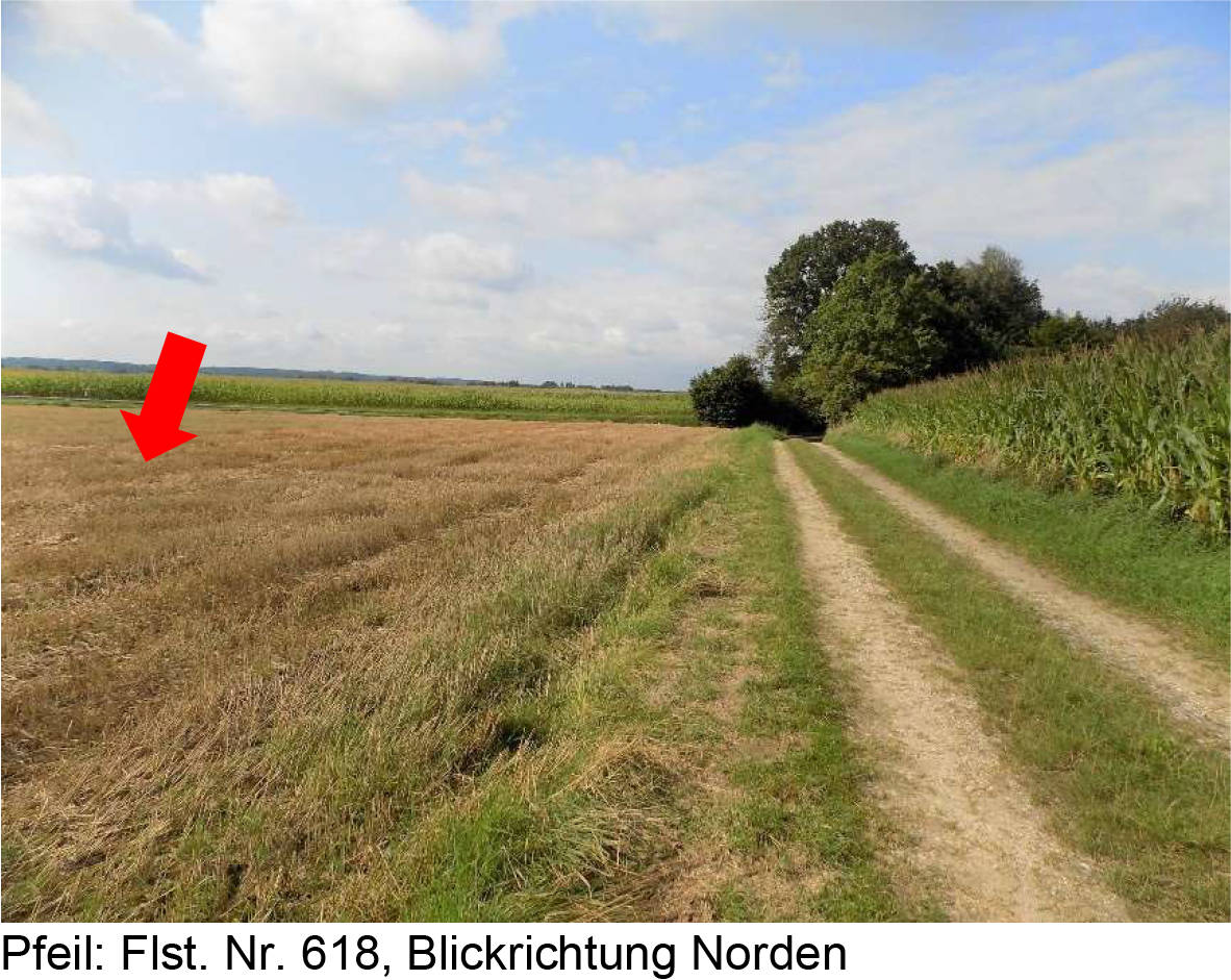 land-/ forstwirtschtl. Flächen in Am Vierlinger, 86480 Hairenbuch - Bild 2