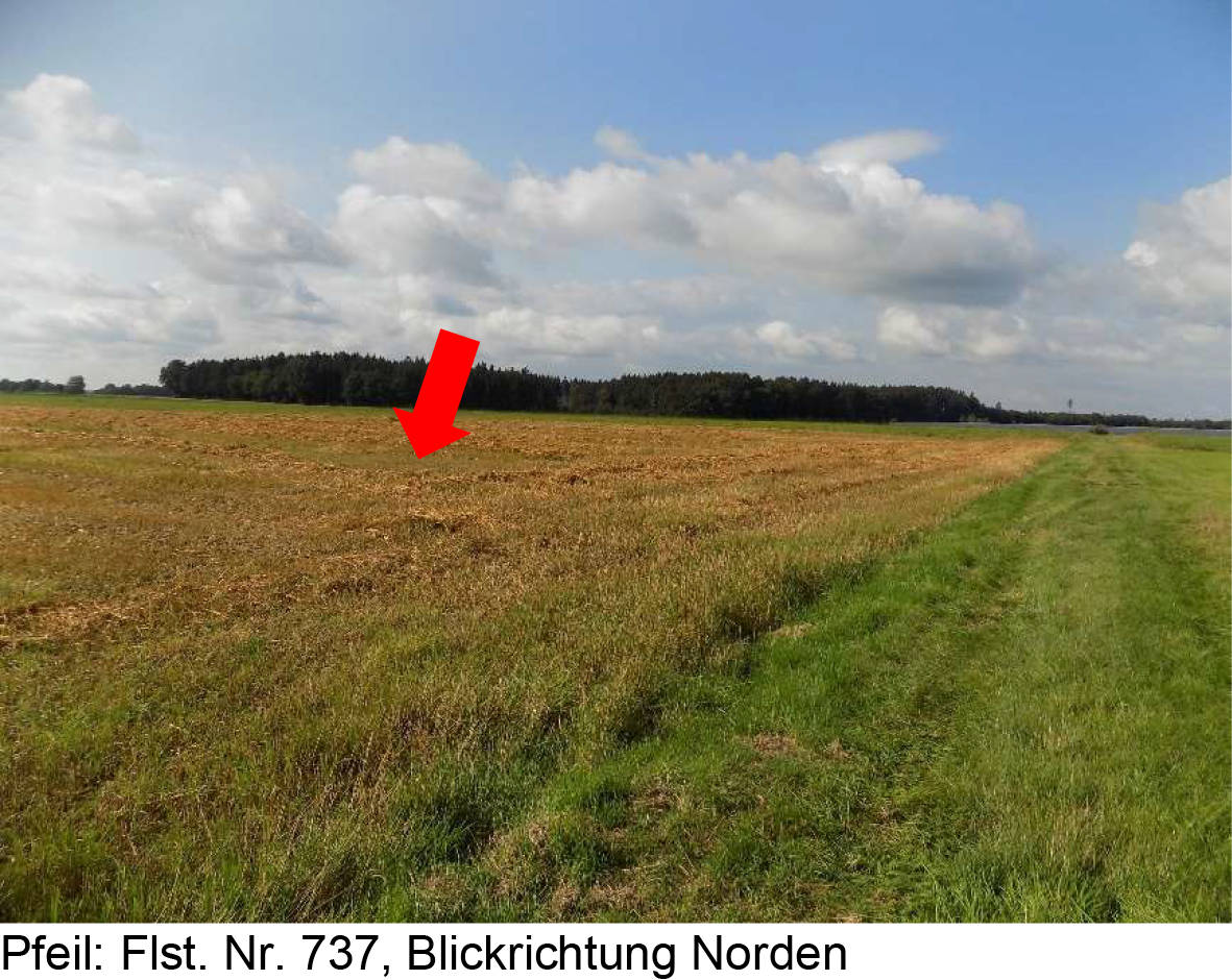 land-/ forstwirtschtl. Flächen in Stangengehauteile, 86381 Krumbach