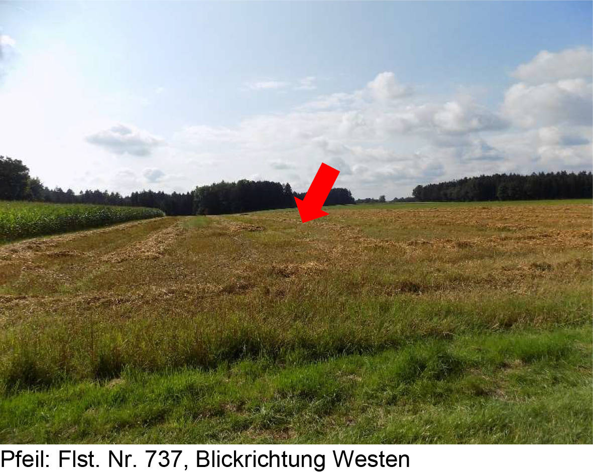 land-/ forstwirtschtl. Flächen in Stangengehauteile, 86381 Krumbach - Bild 2