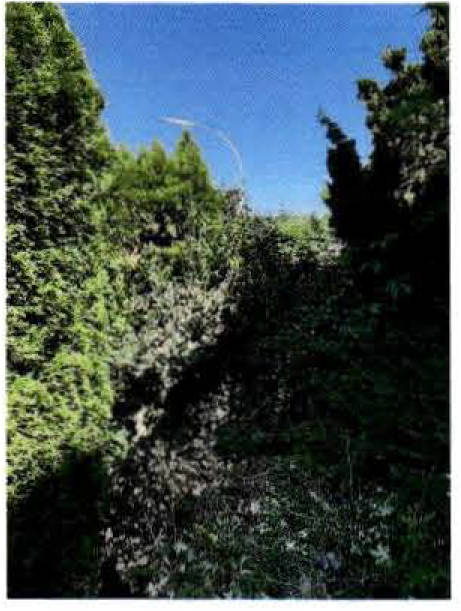 Einfamilienhaus in Max-Eyth-Straße 7, 85354 Freising - Bild 4